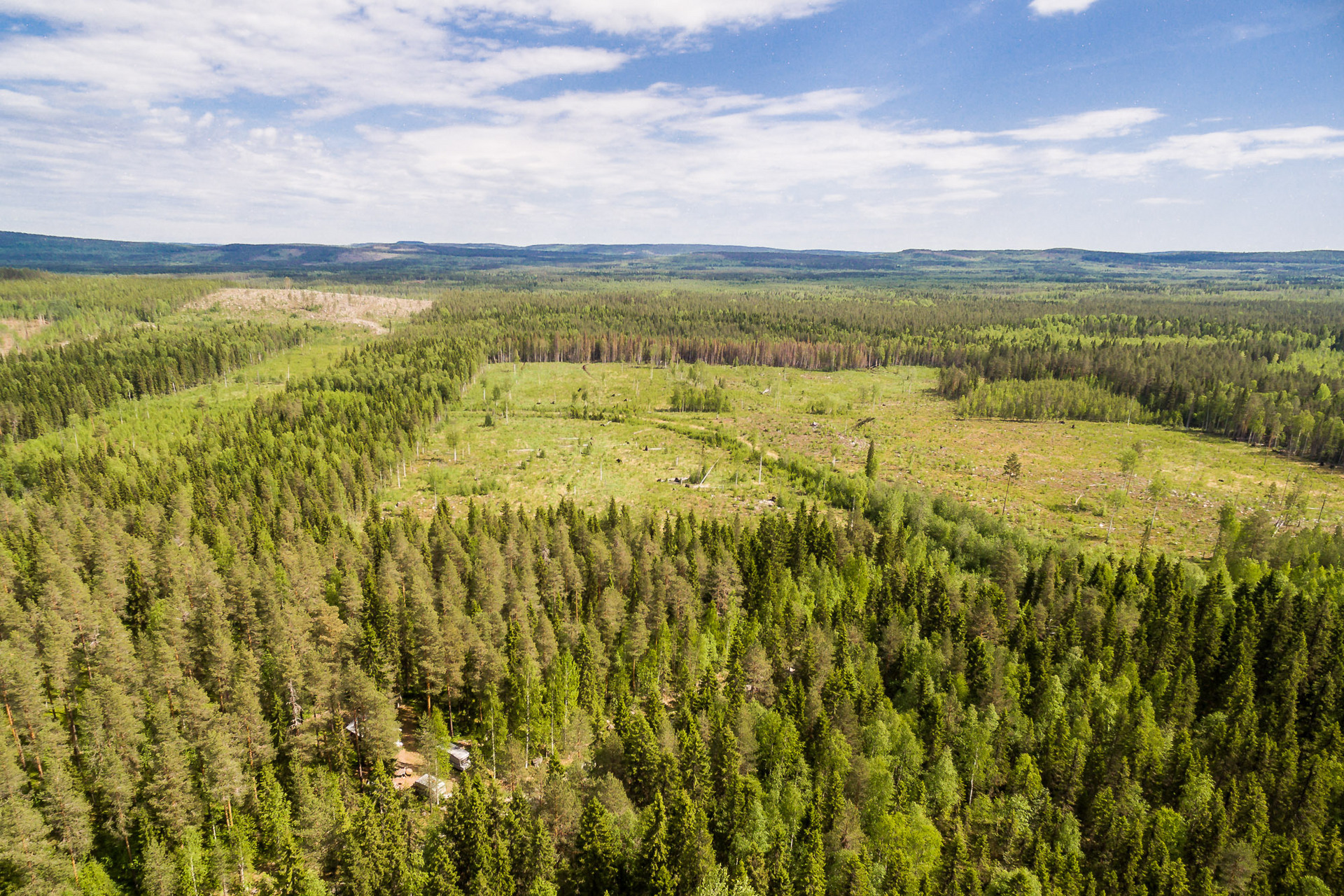 Buddbyn 7:55 – bild 6