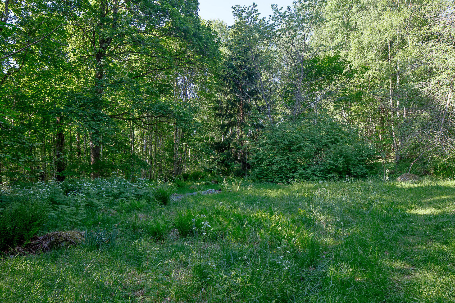 Lundboholm Blankebo 1 – bild 4