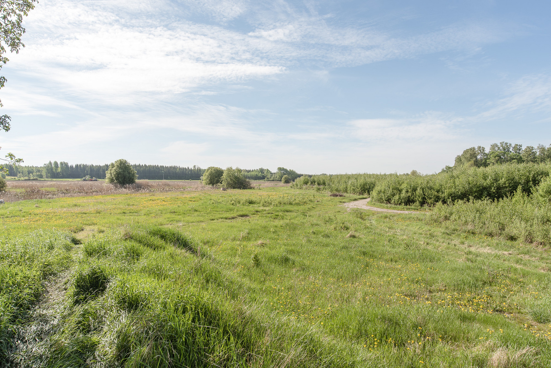Ubblixbo 115 – bild 8