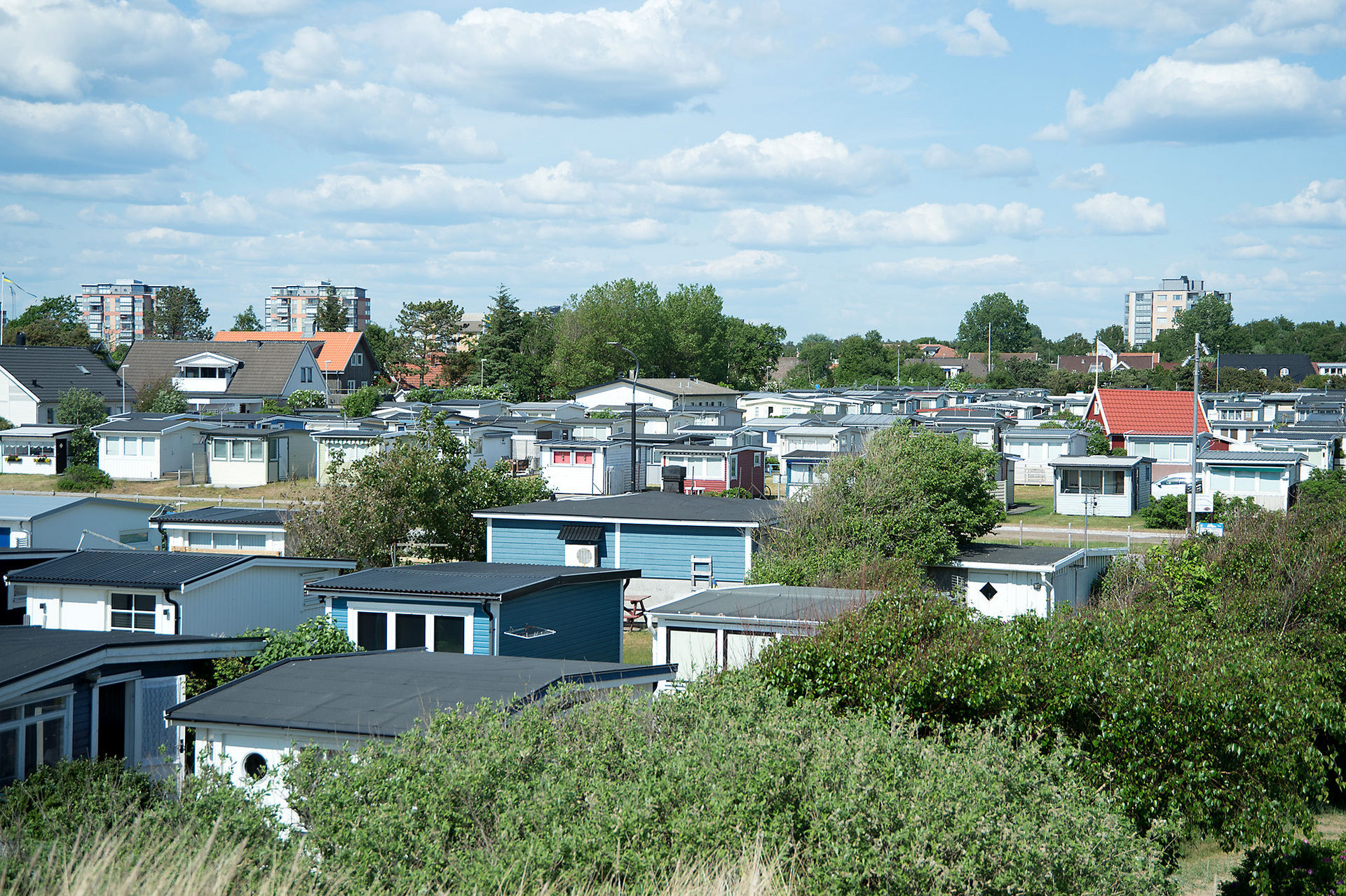 Sillen 12 – bild 5