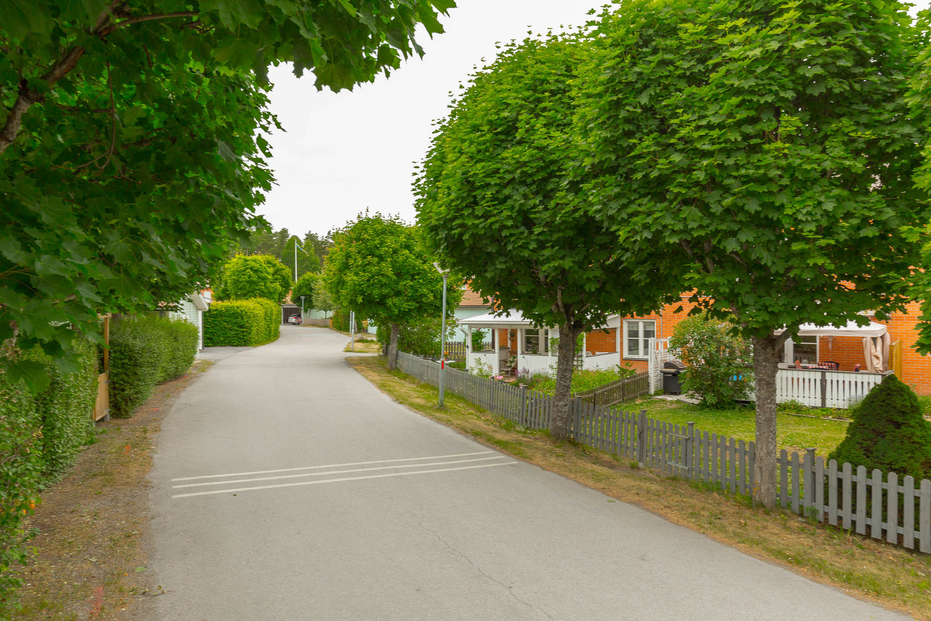 Fjärilsstigen 6 – bild 4