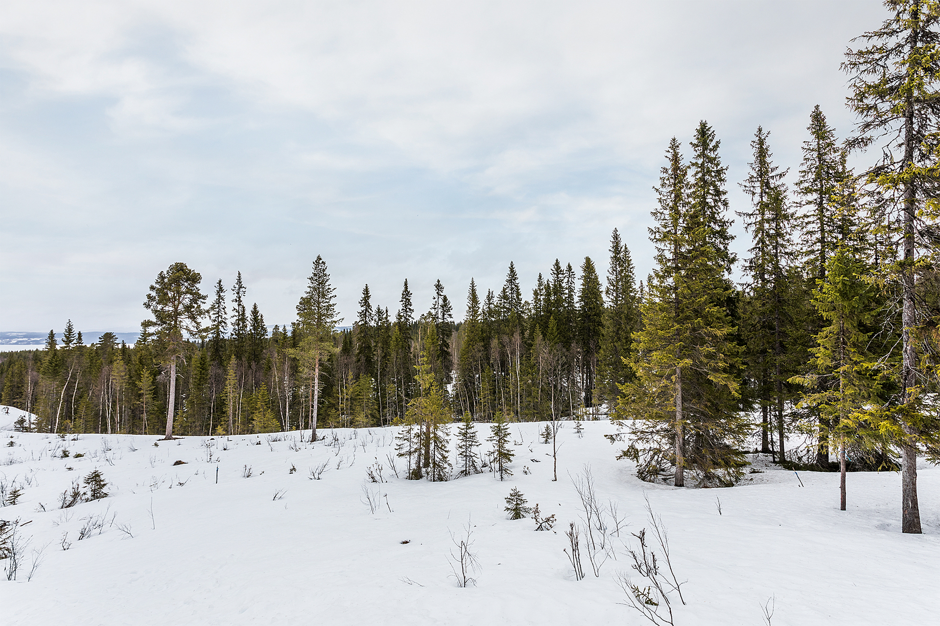 Lunnarvägen 15 – bild 3