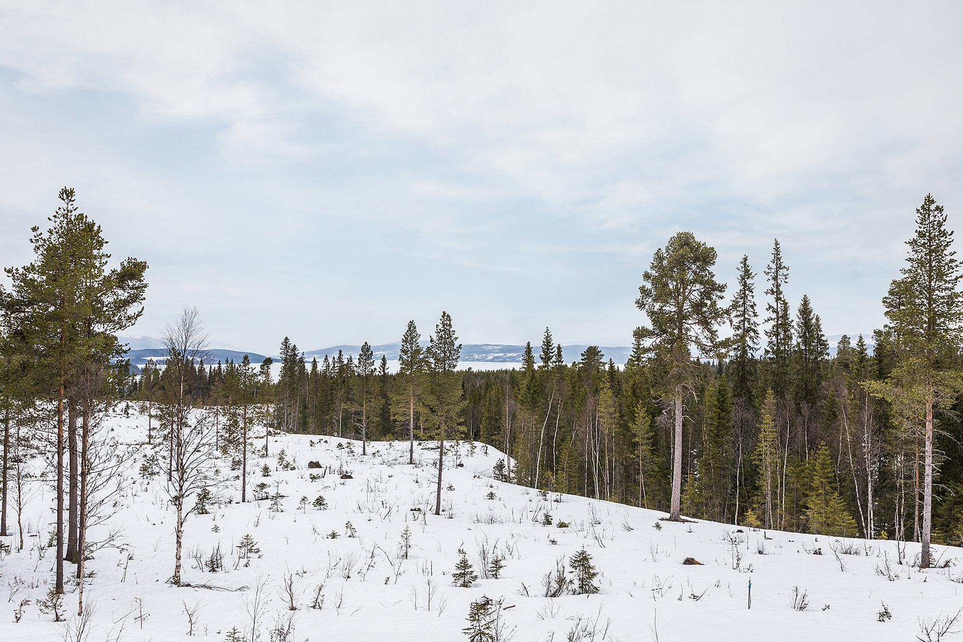 Lunnarvägen 15 – bild 7