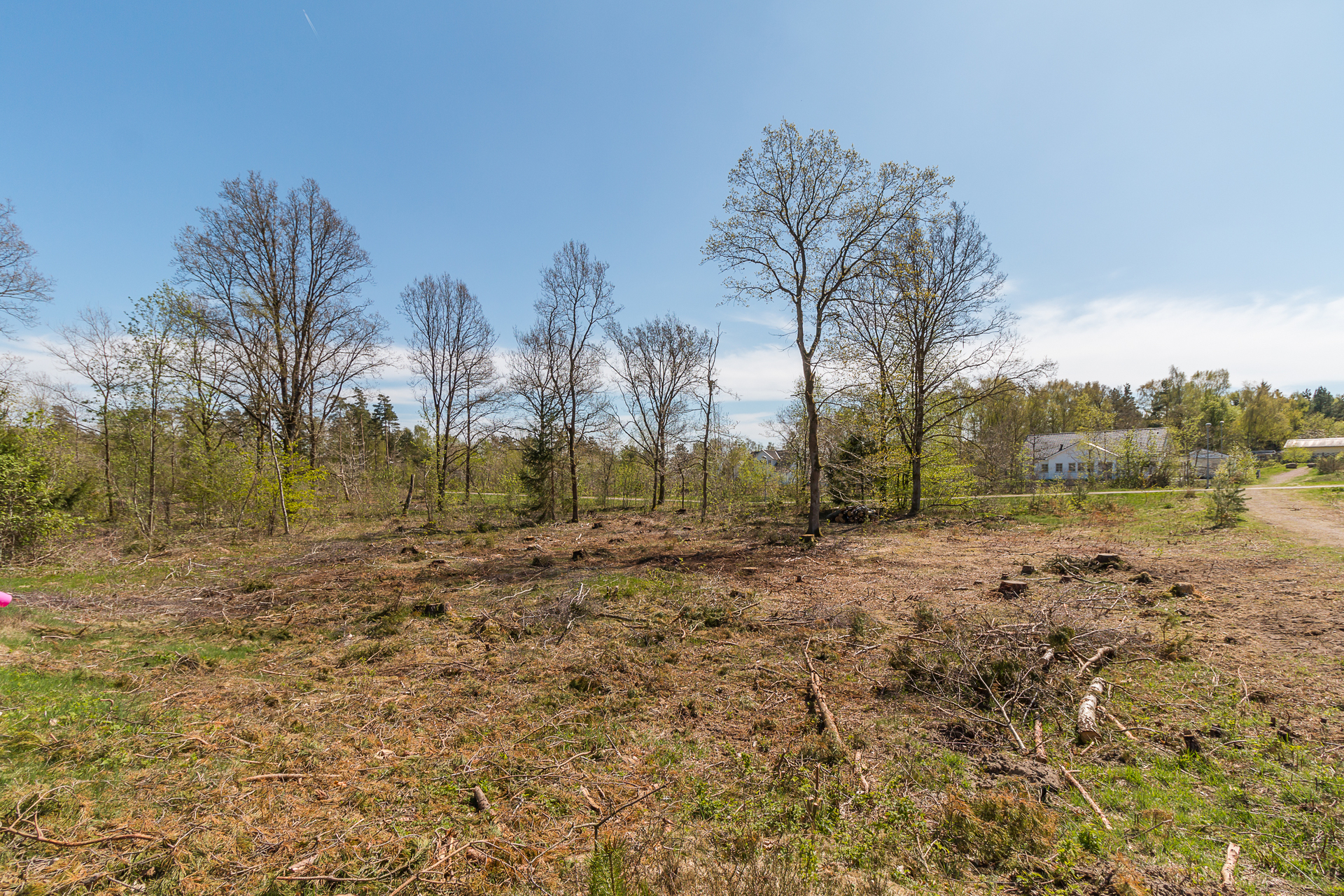 Dovhjortsvägen 13 – bild 6