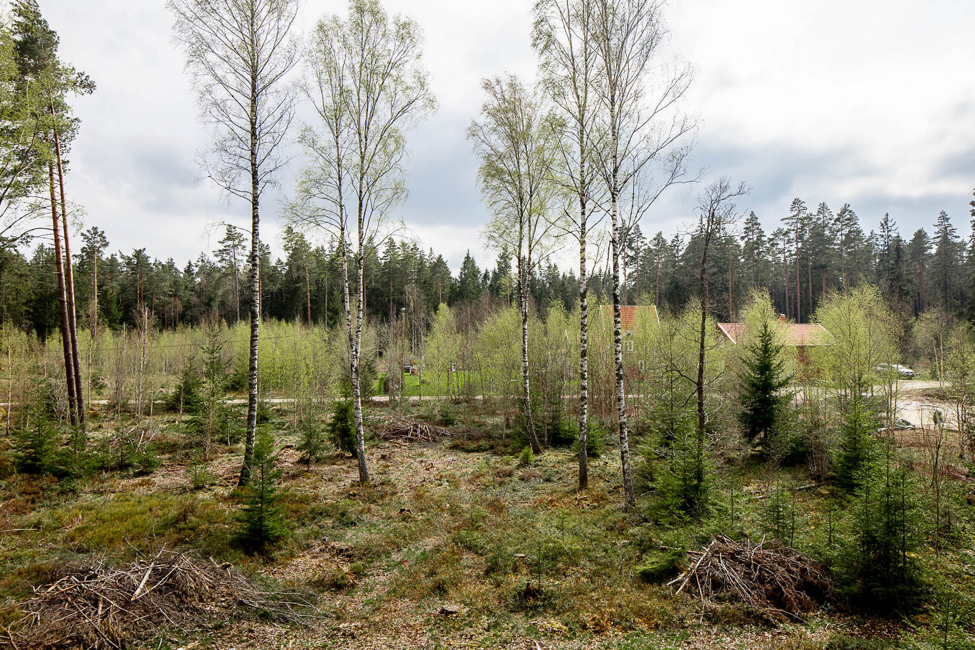 Tegnaby Björklyckan 1 – bild 5