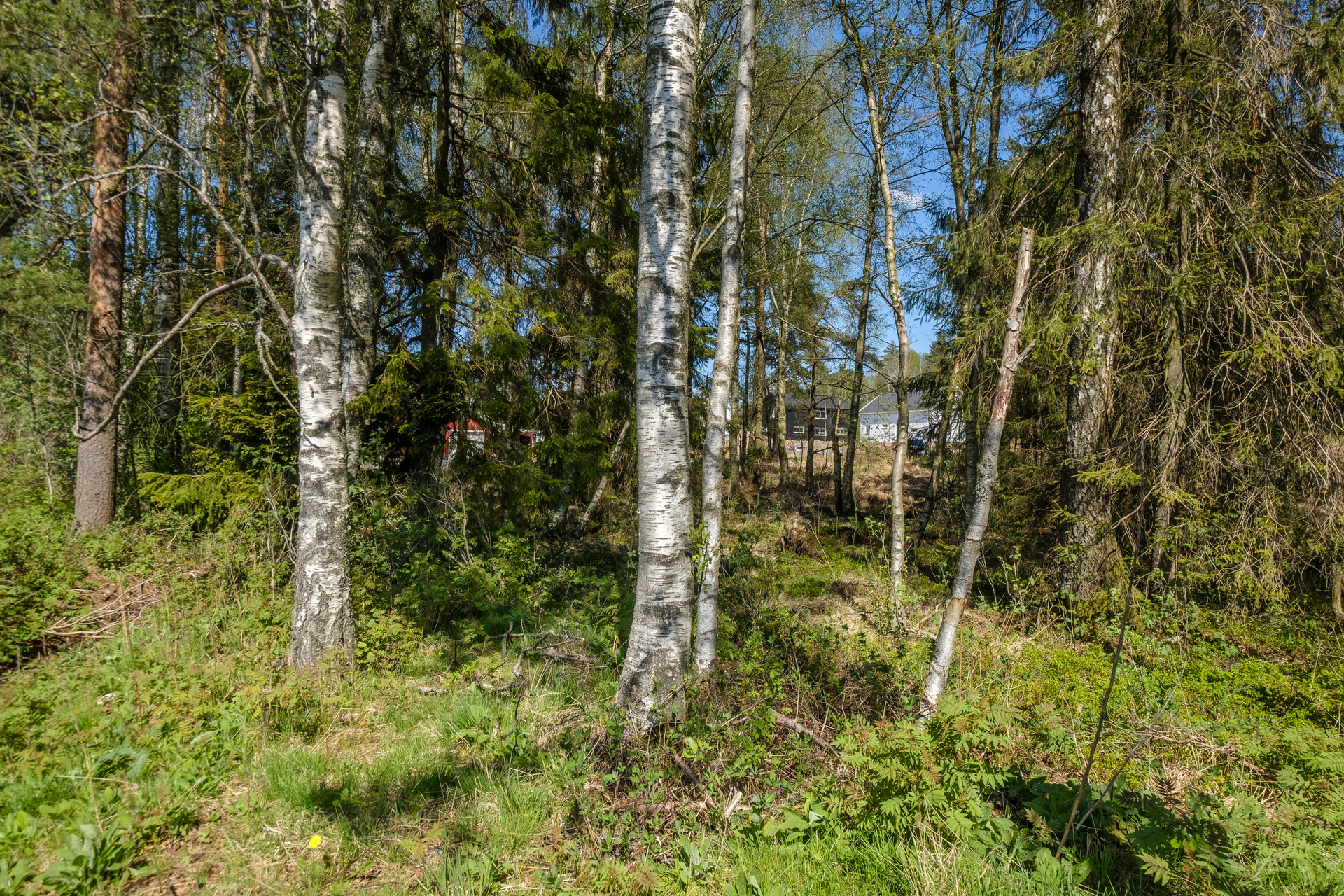 Lundsångarvägen 5 – bild 6
