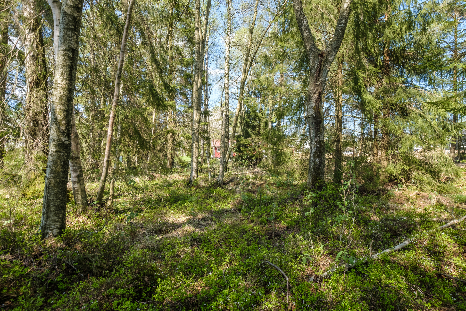 Lundsångarvägen 5 – bild 5