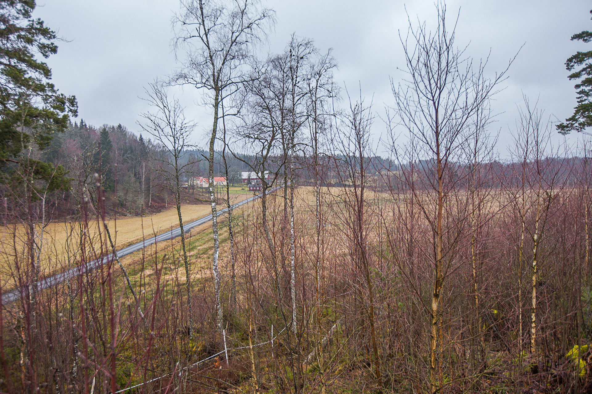 Bergtorp – bild 3