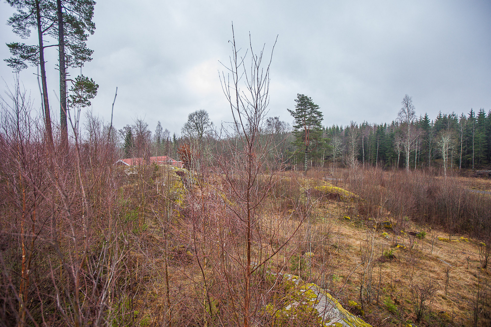 Bergtorp – bild 7