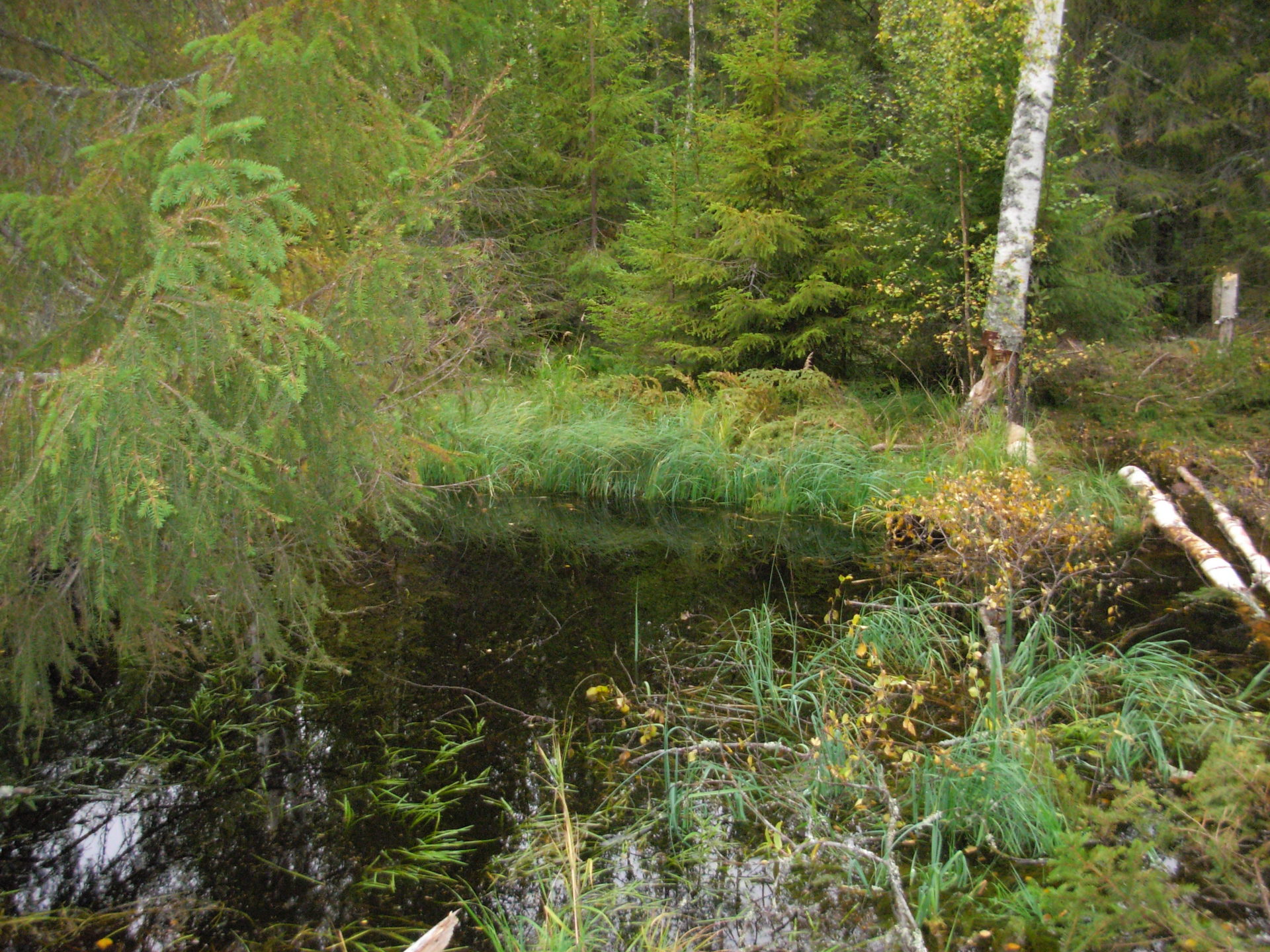 Gårdnäs – bild 7