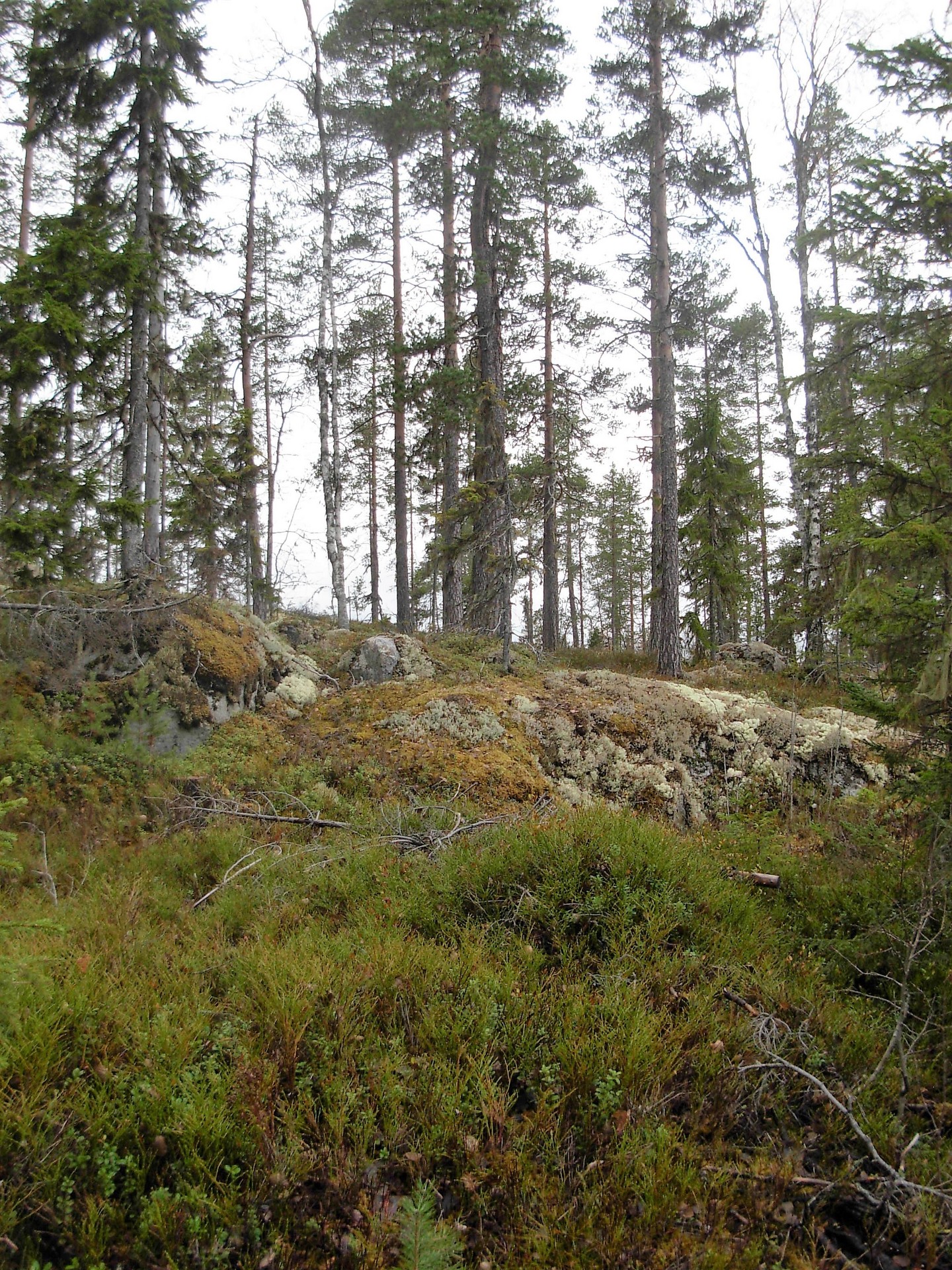 Gårdnäs – bild 8