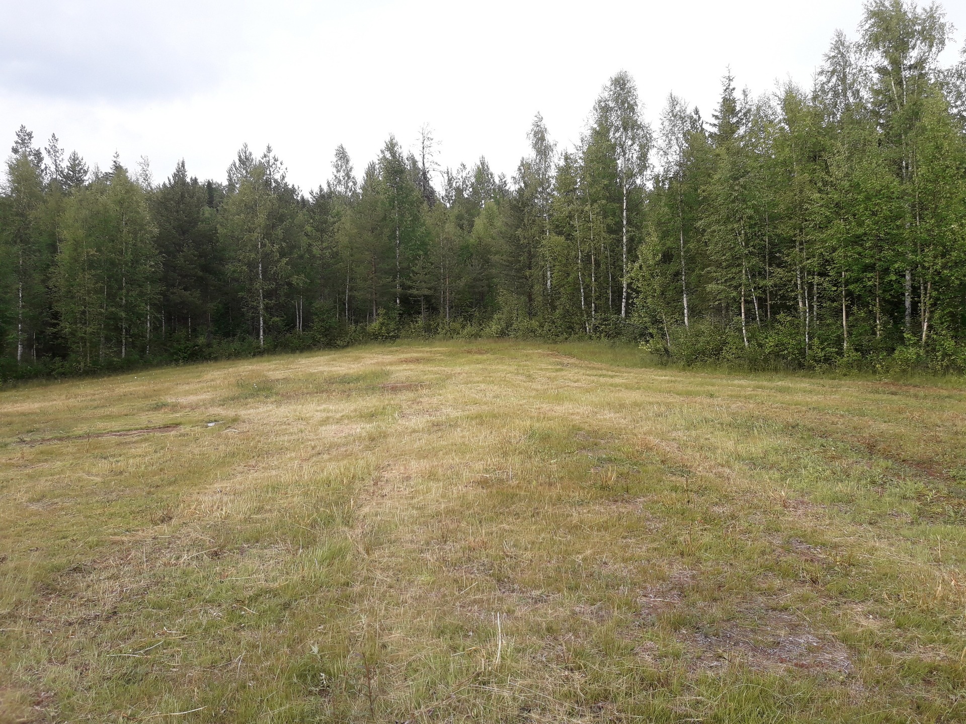 Spikberget – bild 8