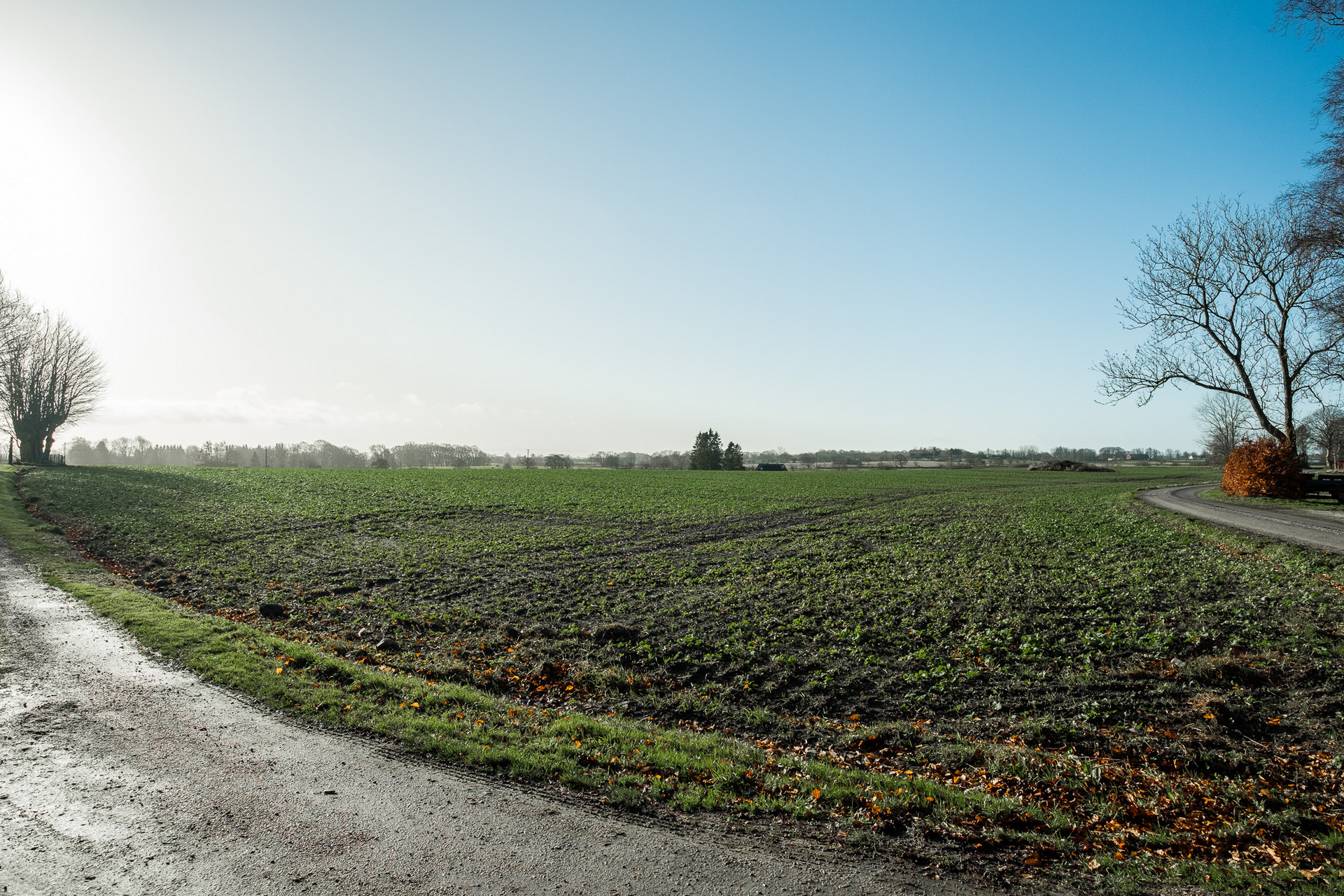 Västerstad 9014 – bild 5