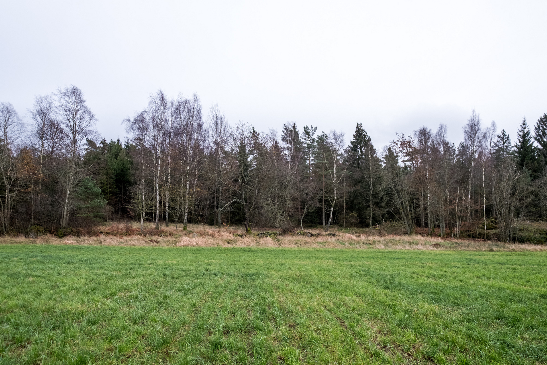 Drared – bild 3
