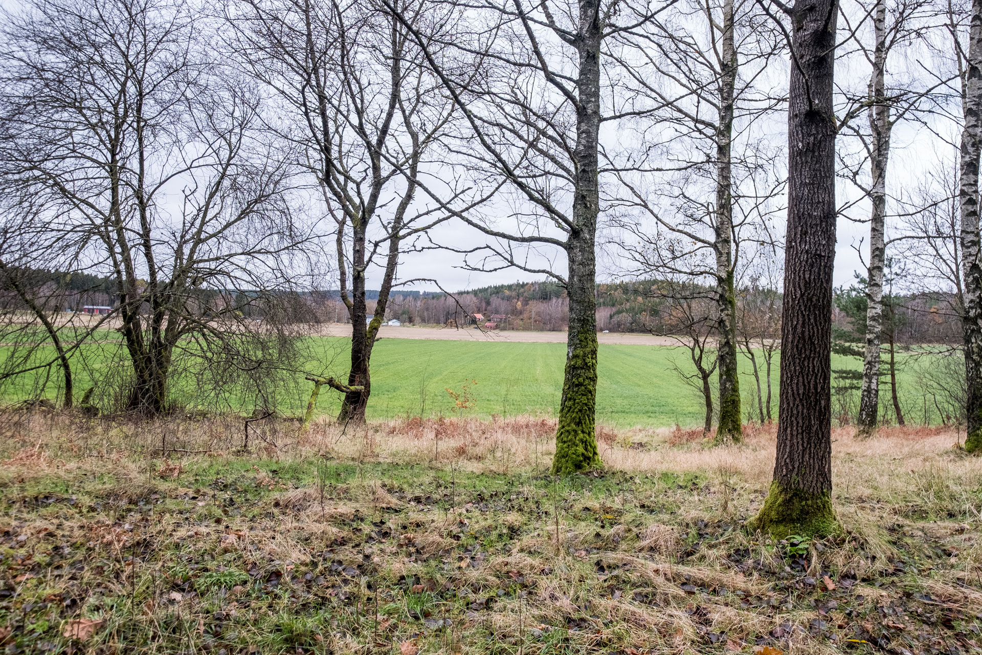 Drared – bild 4