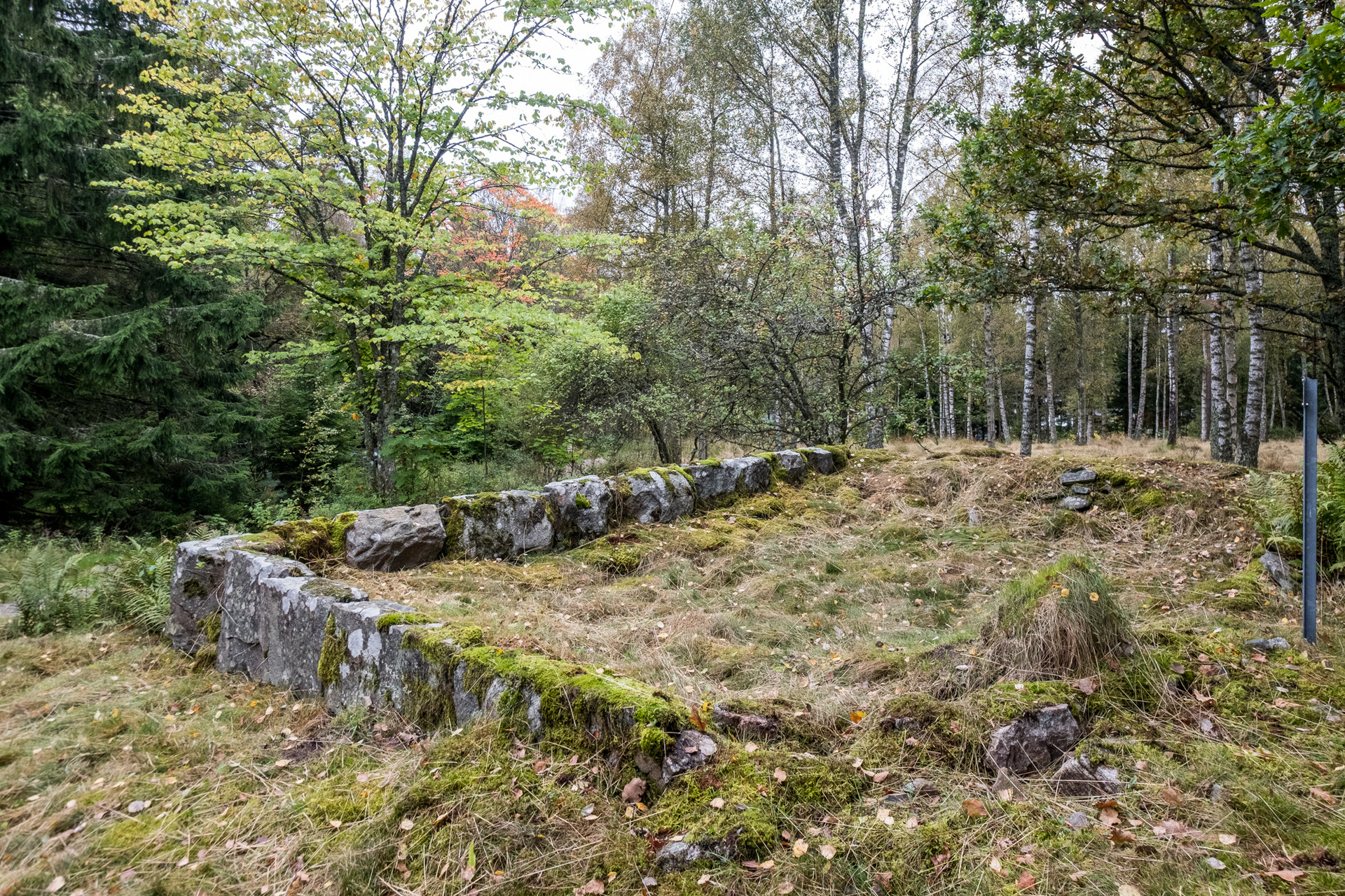 Ödenäs Olofsered 894 – bild 5