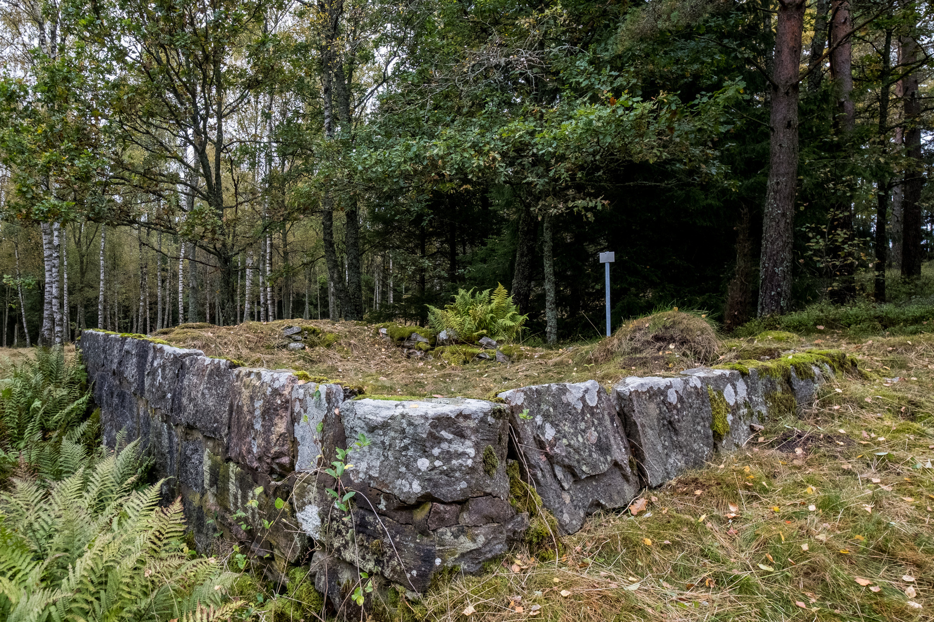 Ödenäs Olofsered 894 – bild 4