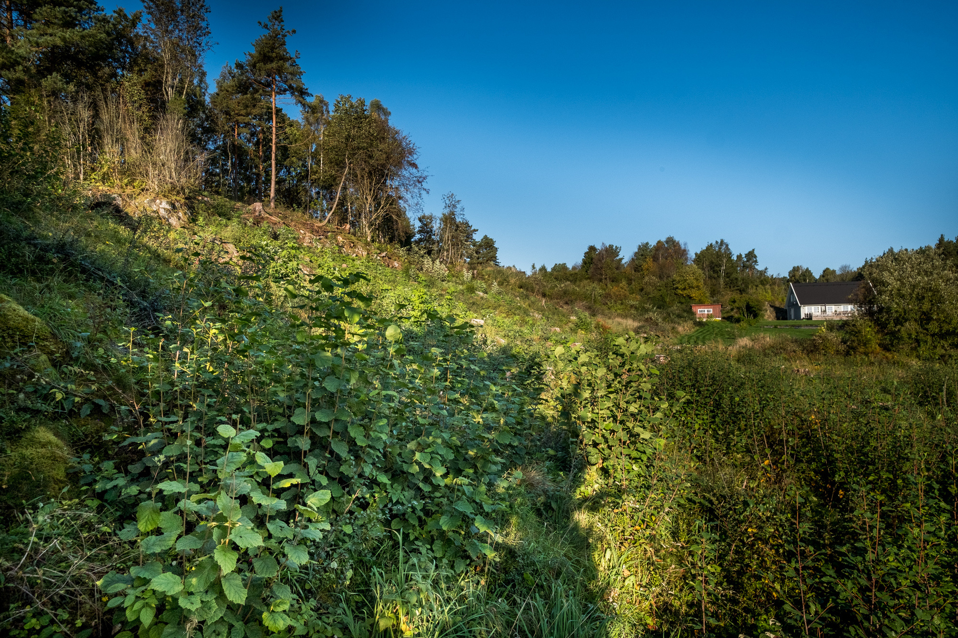 Benjaminssons väg – bild 5