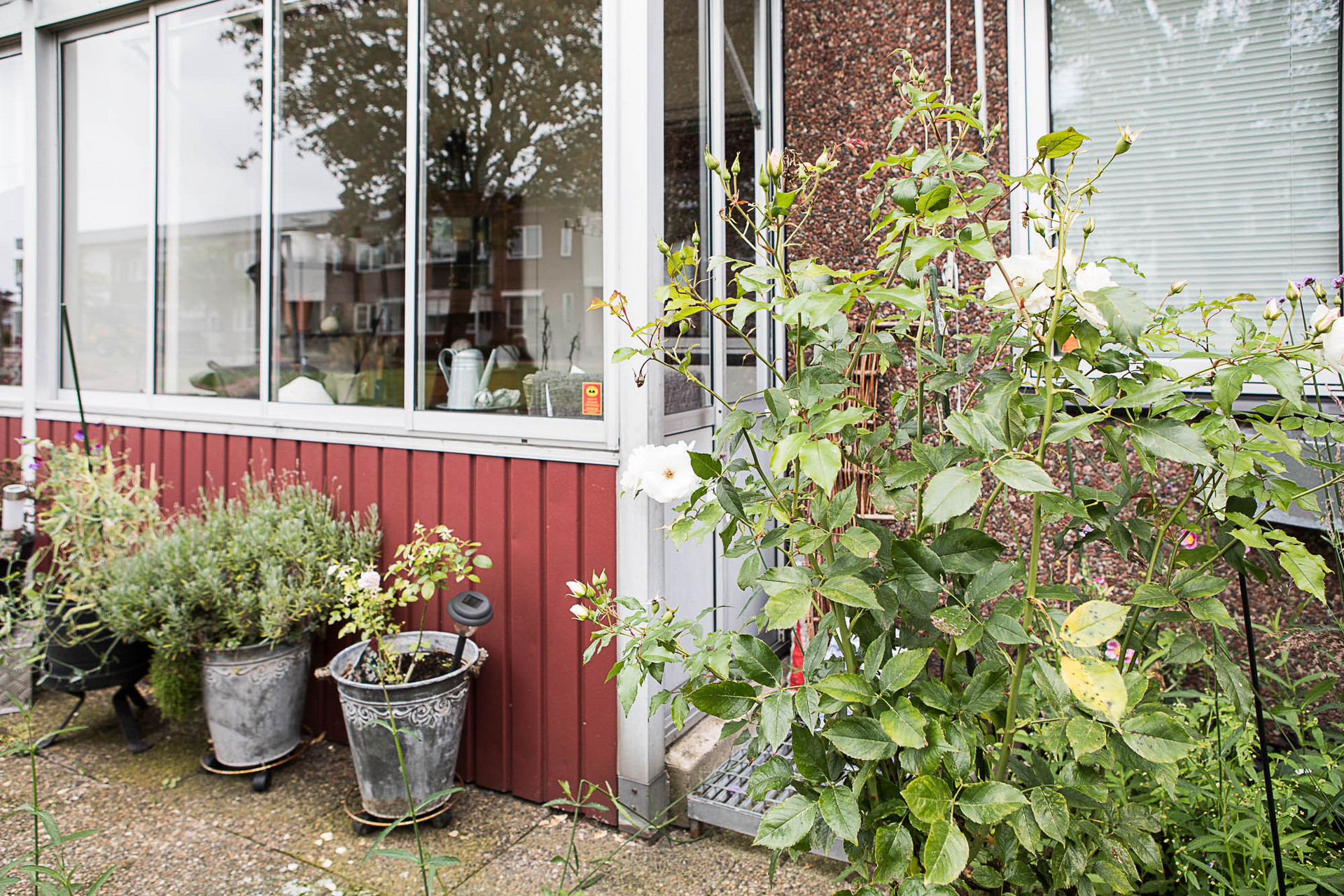 Löpargatan 12 B – bild 6