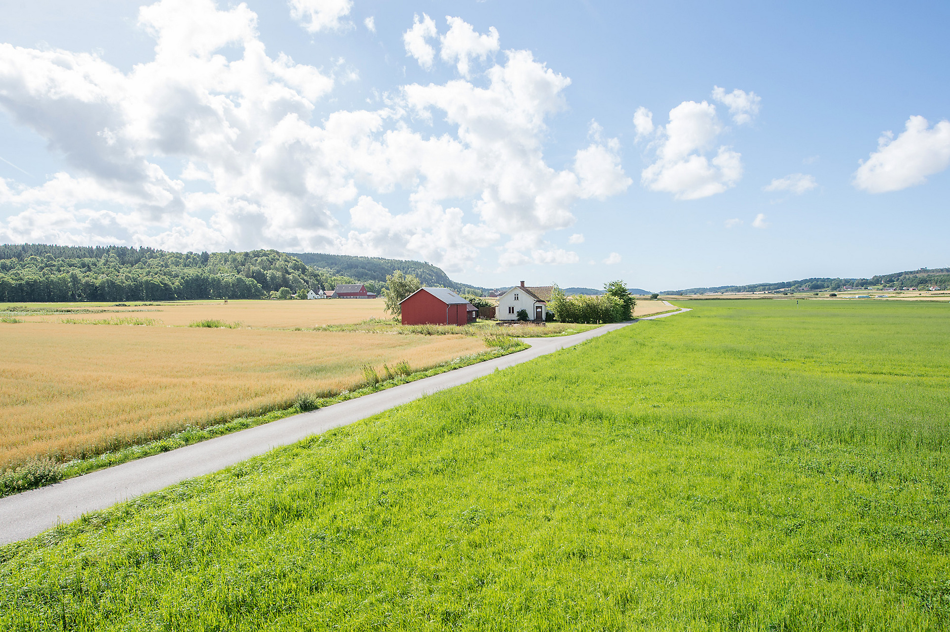 Svärtingskulla 3 – bild 4