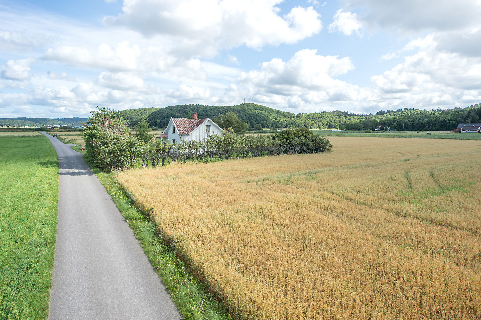 Svärtingskulla 3 – bild 3