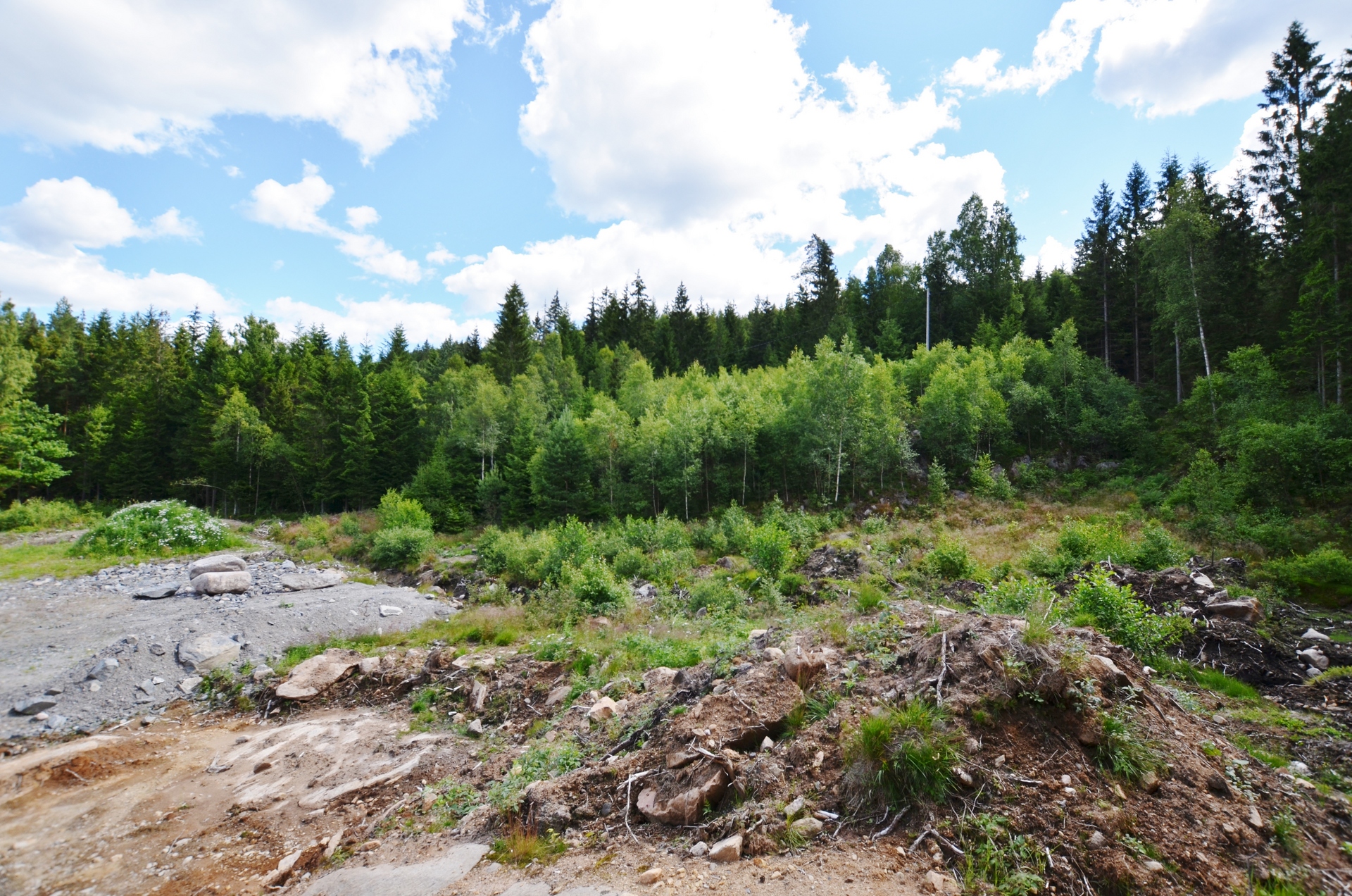 TOMTEN 3:37 – bild 3