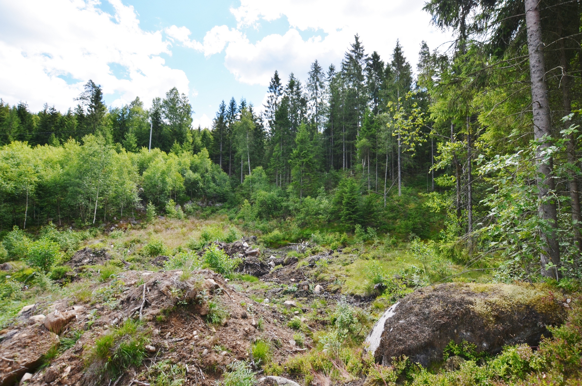 TOMTEN 3:37 – bild 4
