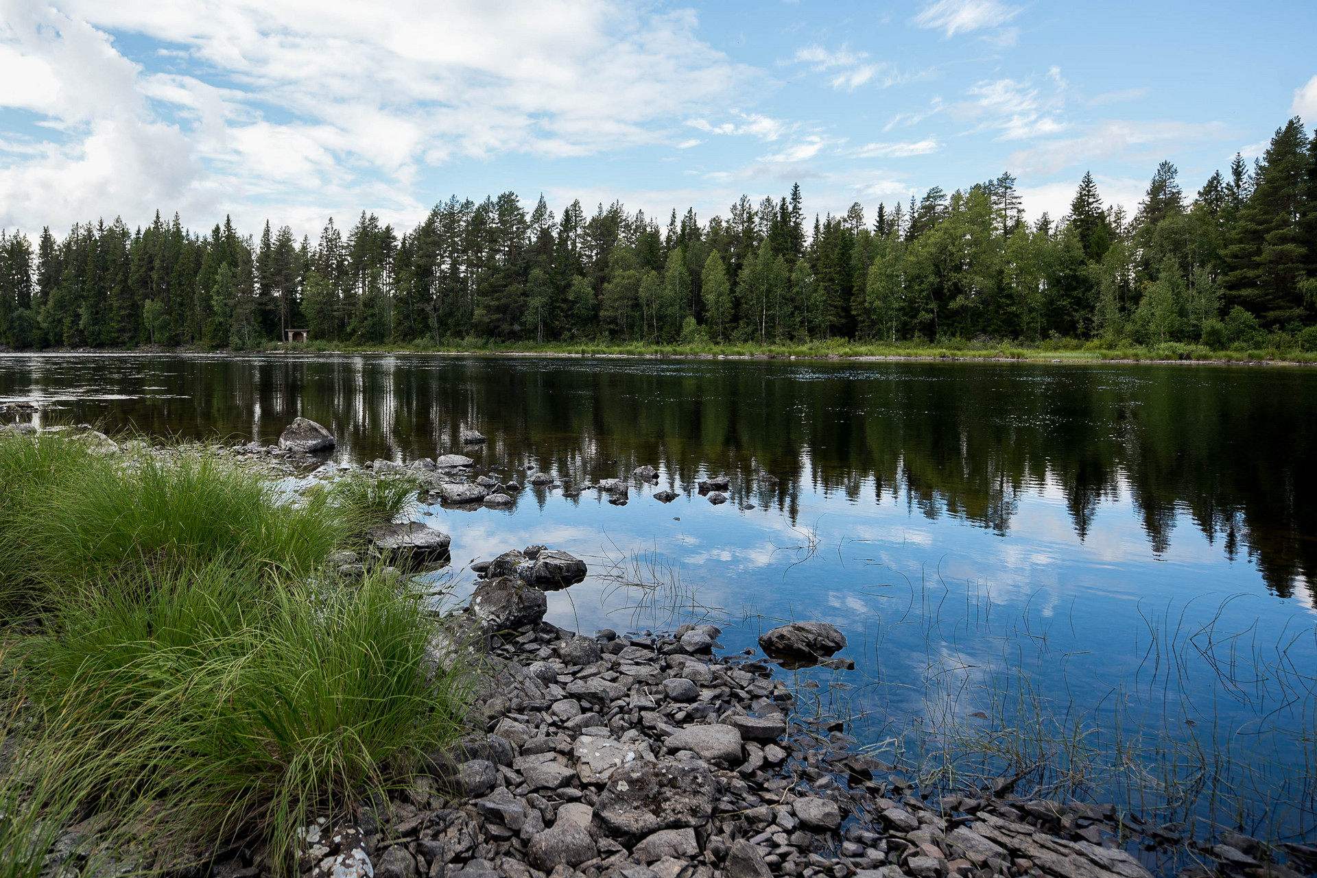 Lövsjöströmmen 215 – bild 5
