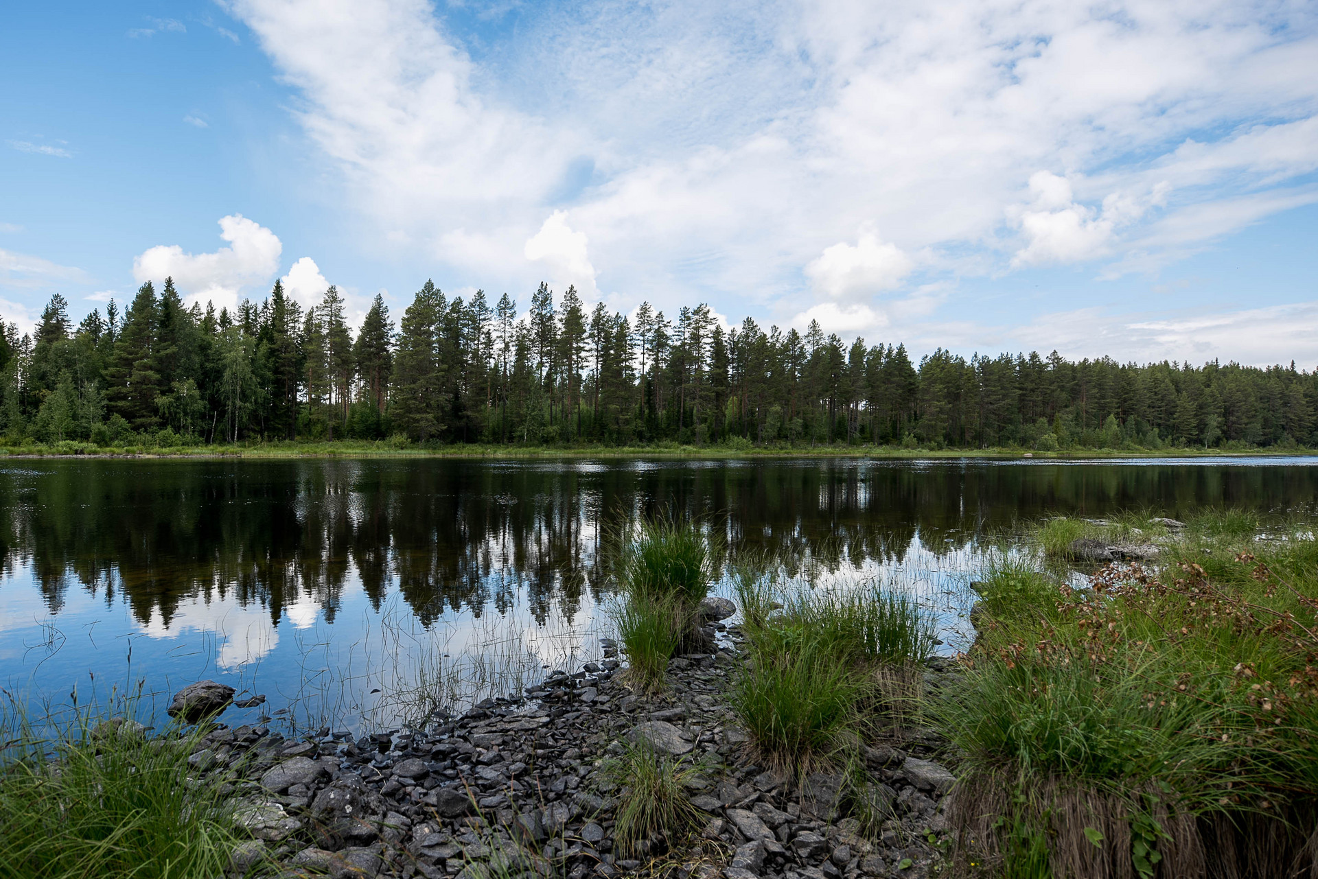 Lövsjöströmmen 215 – bild 6