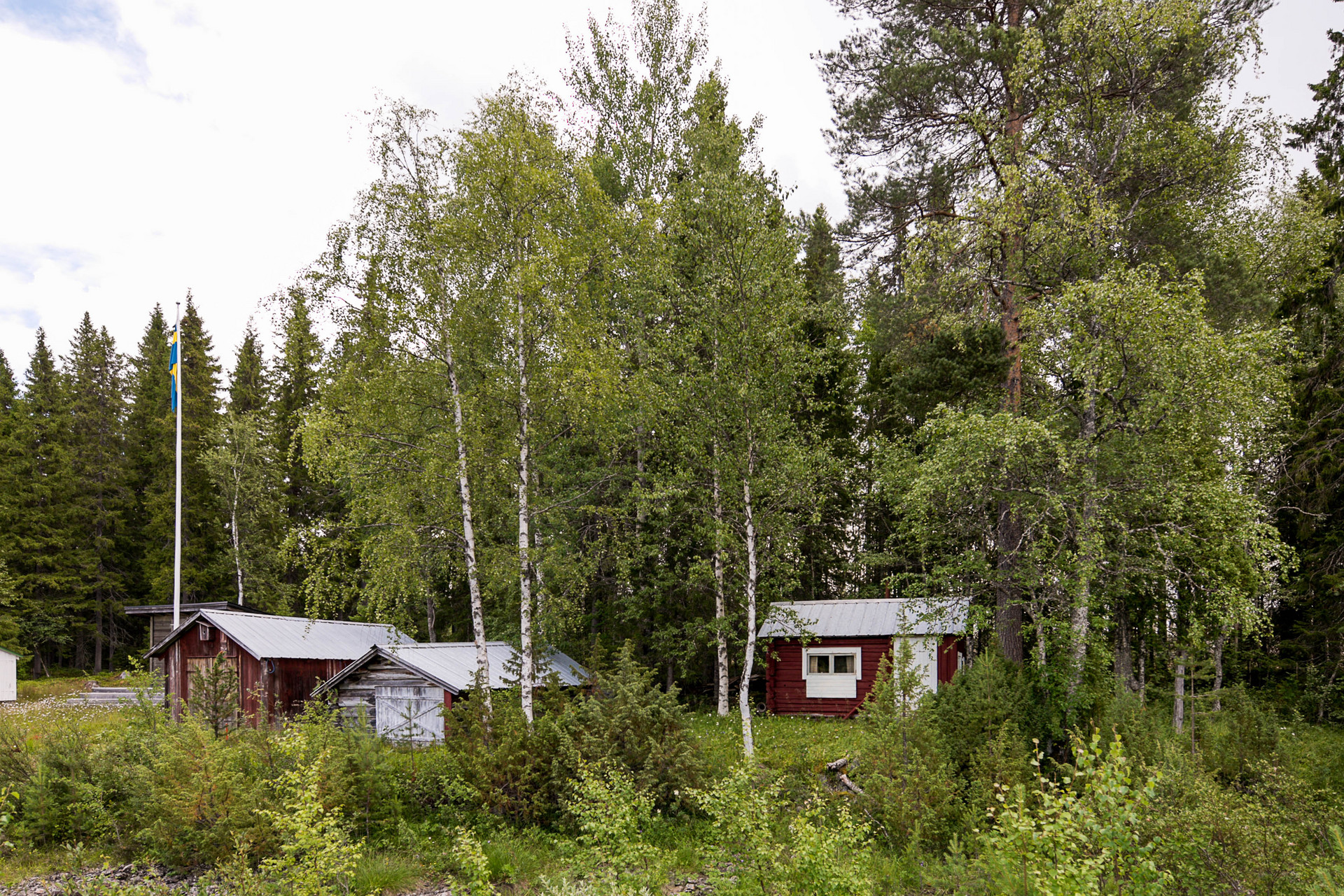 Lövsjöströmmen 215 – bild 8