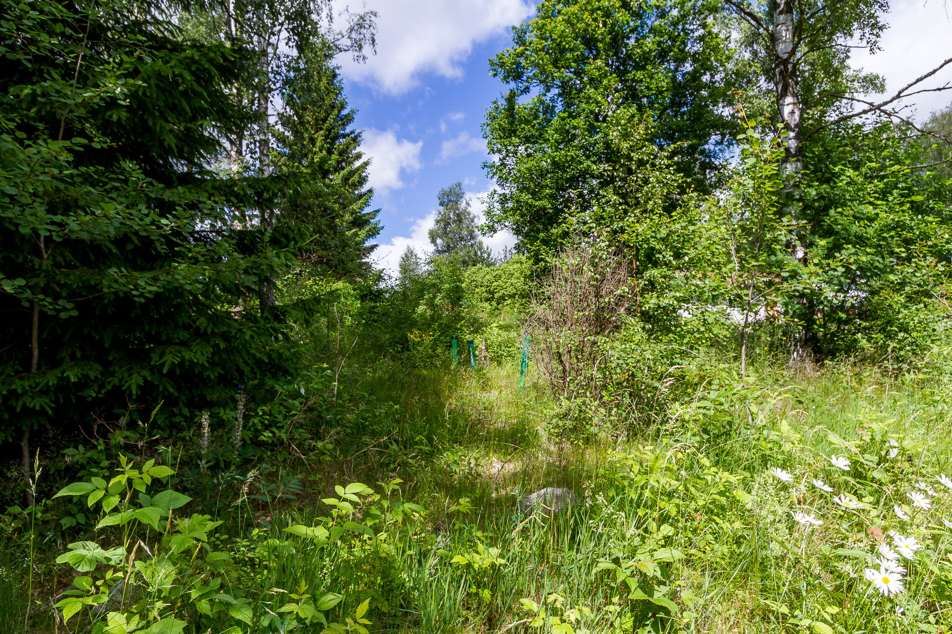 Tallvägen 2 – bild 5