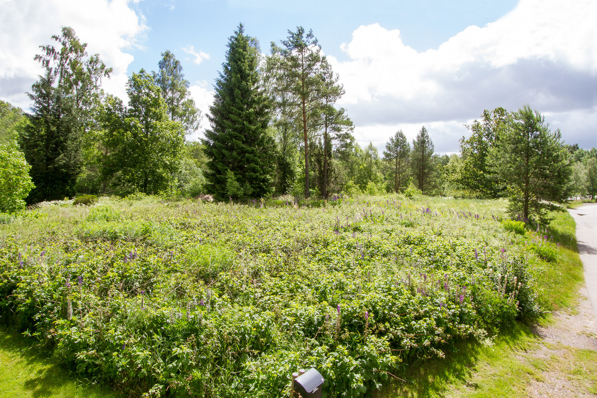 Tallvägen 2 – bild 4