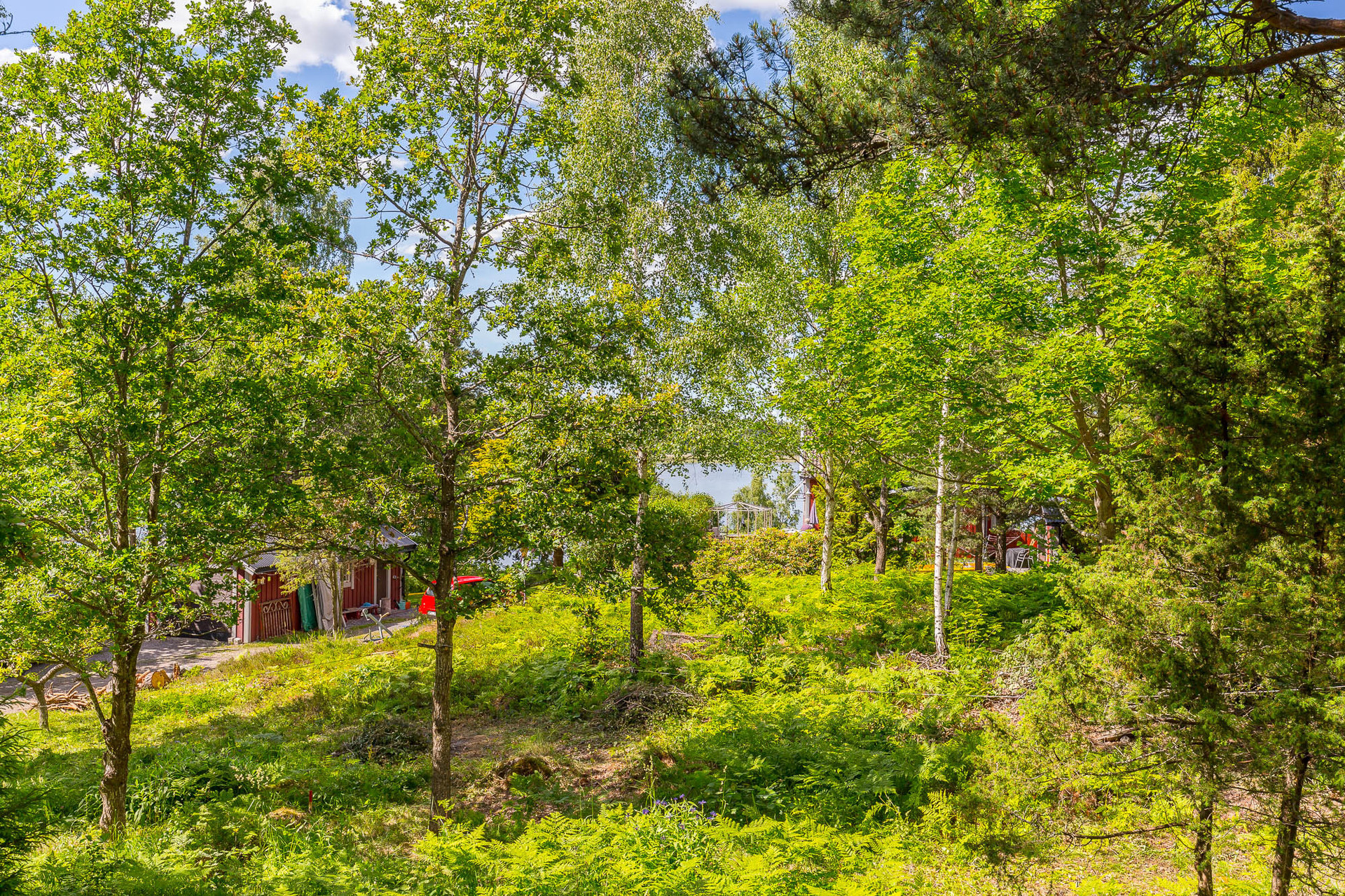 Milles väg 14 – bild 6