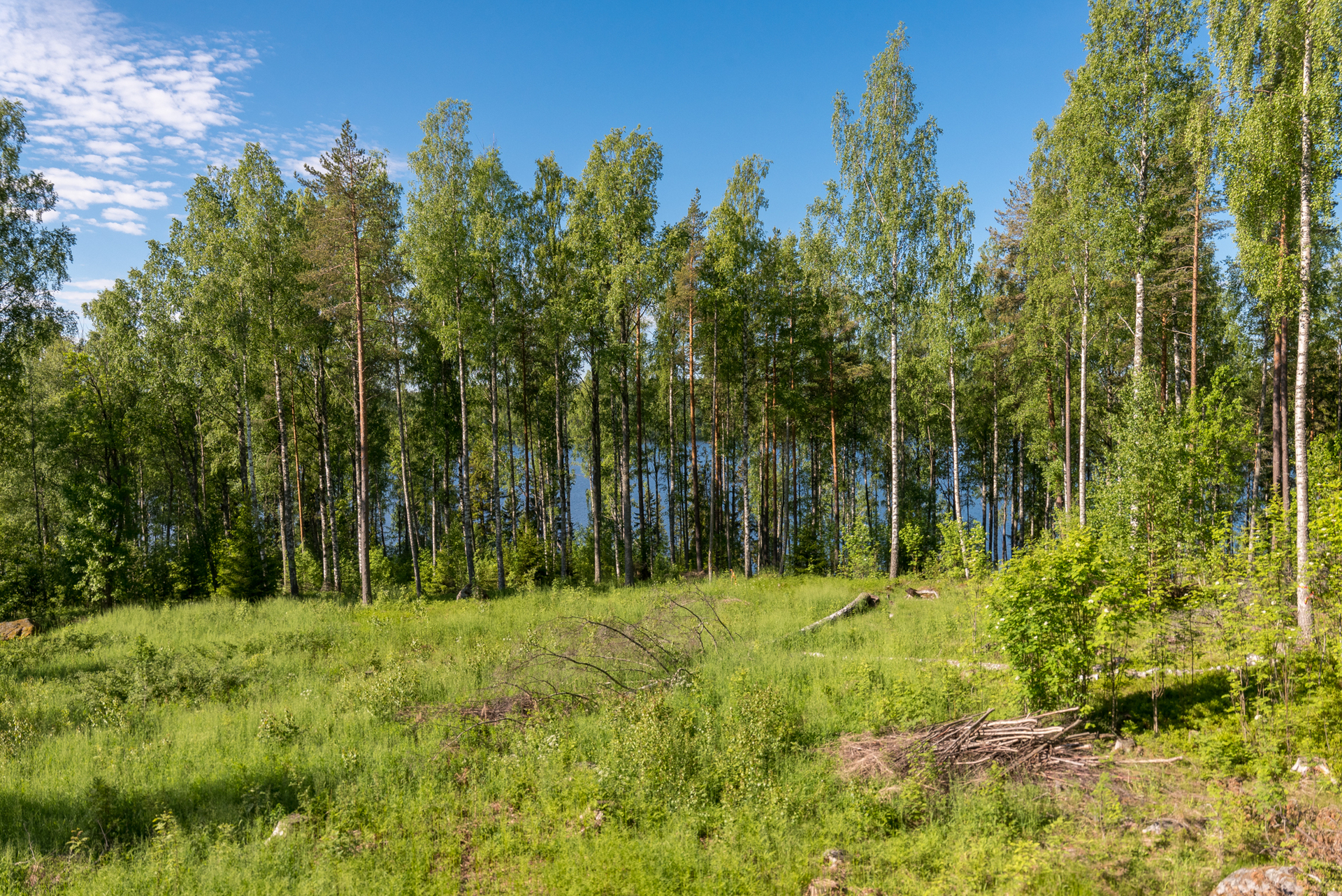 Bostad – bild 6