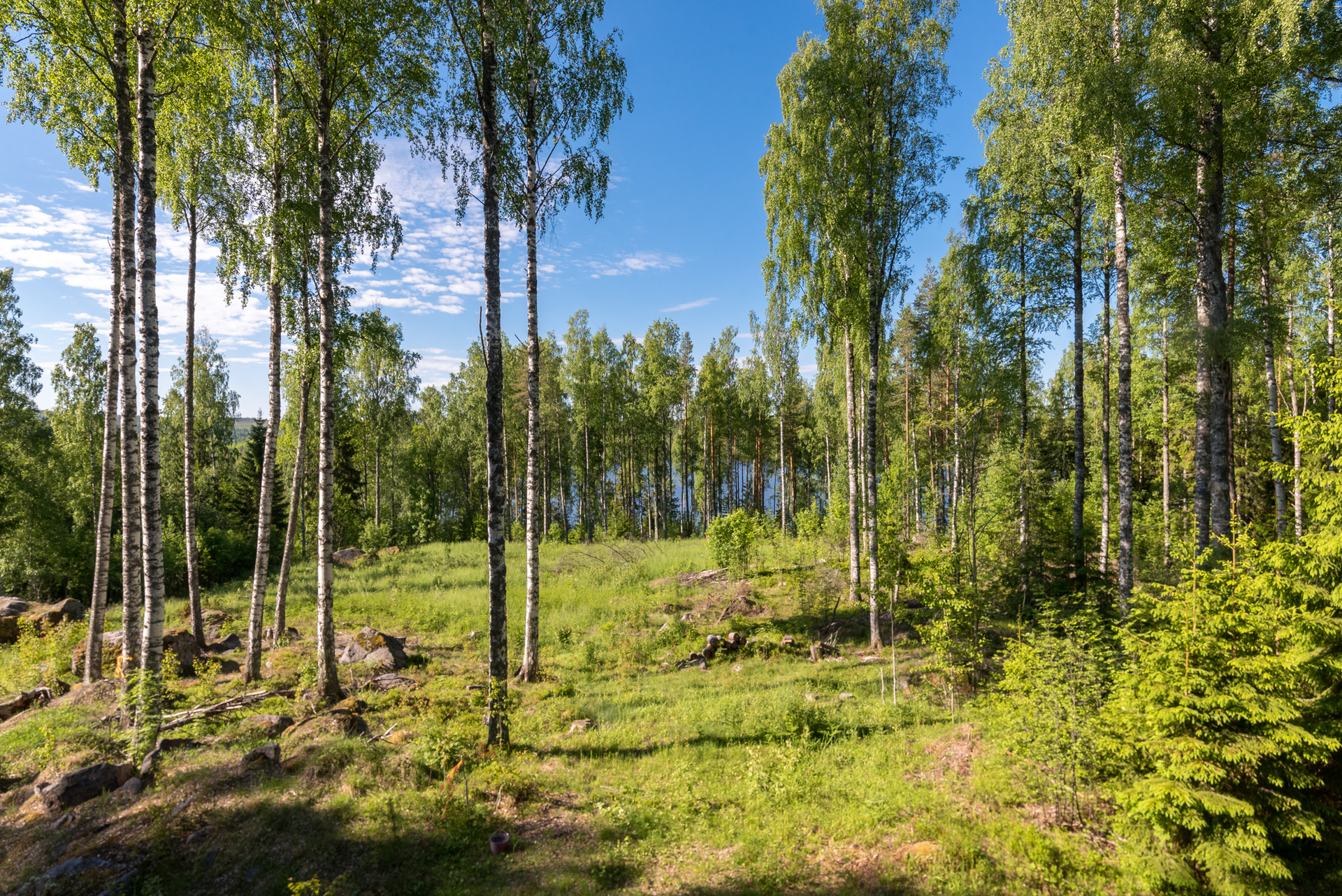Bostad – bild 5