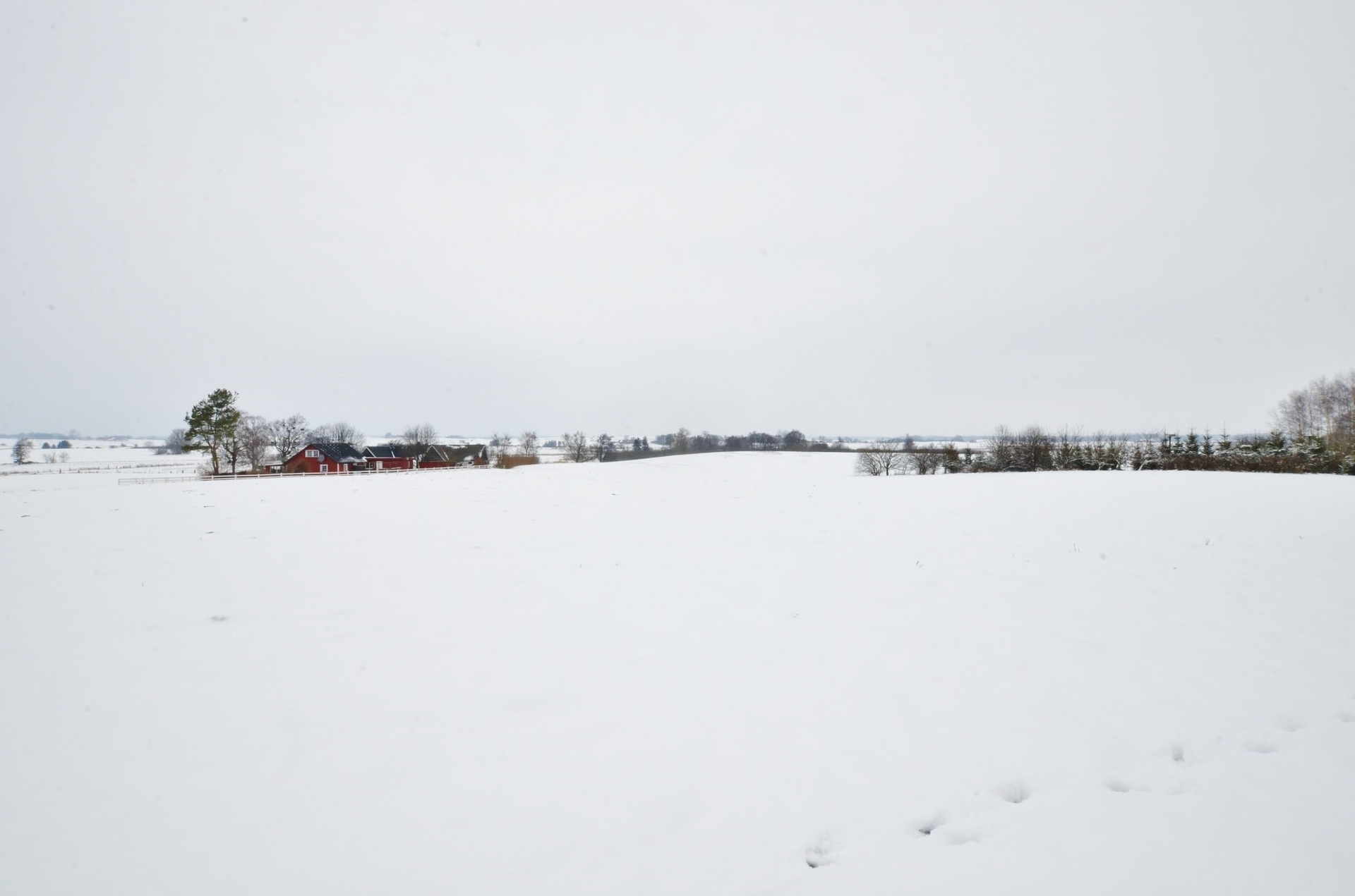 Bussjö 12:24 – bild 7