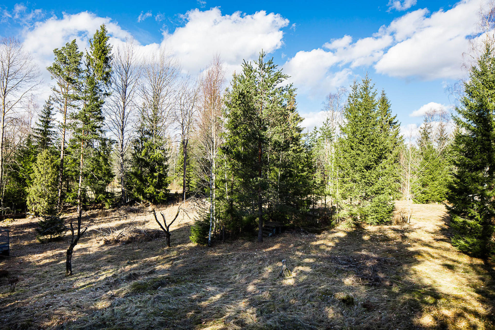 Hältekärr Skogshyddan – bild 6