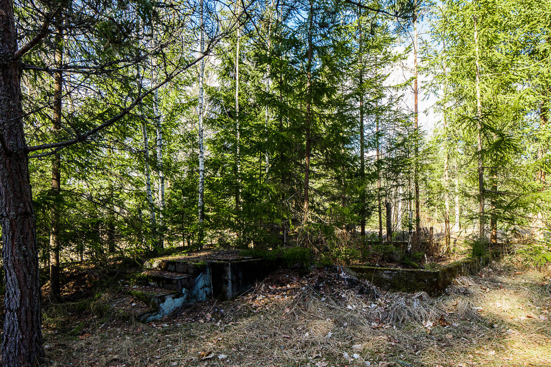 Hältekärr Skogshyddan – bild 3