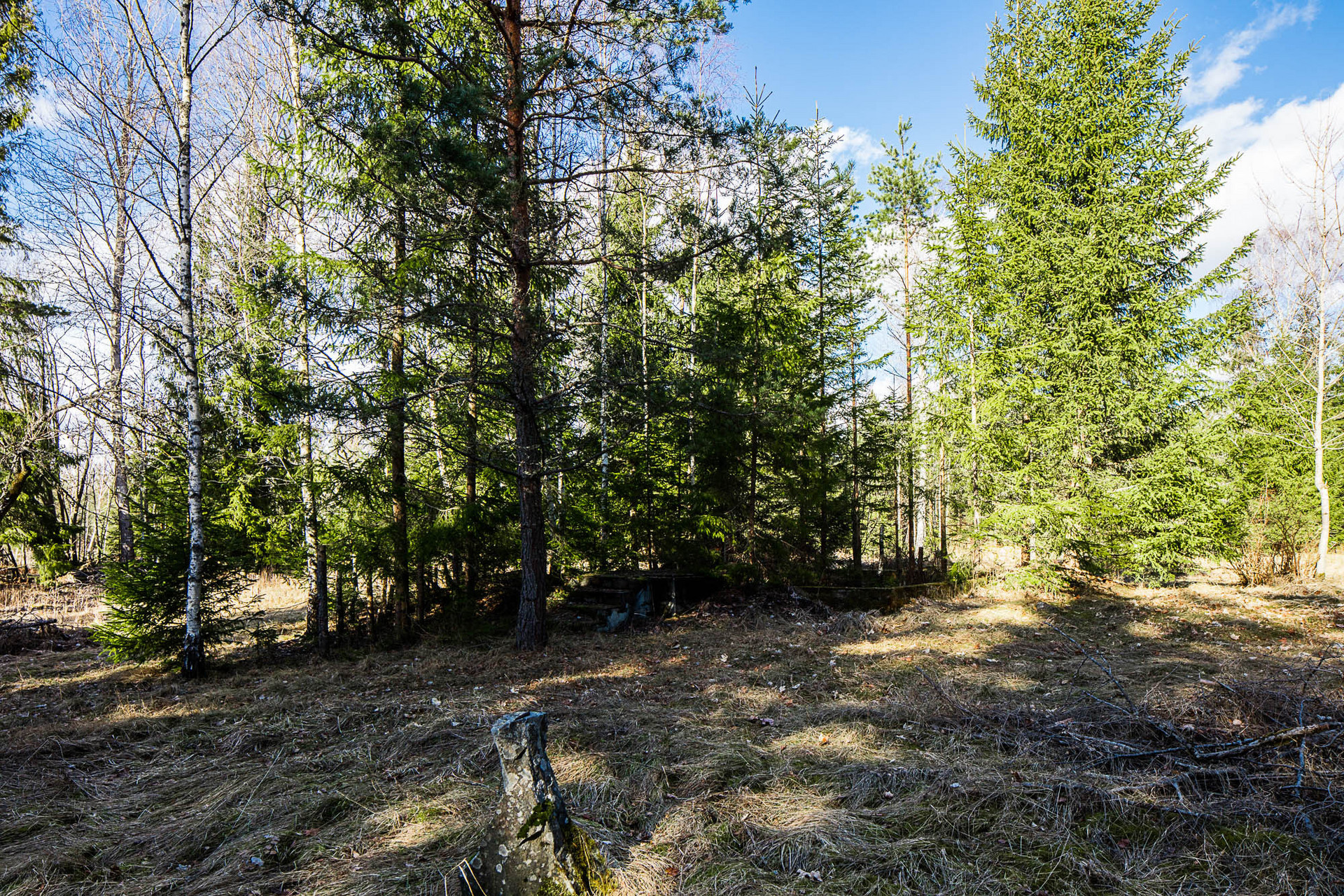 Hältekärr Skogshyddan – bild 7