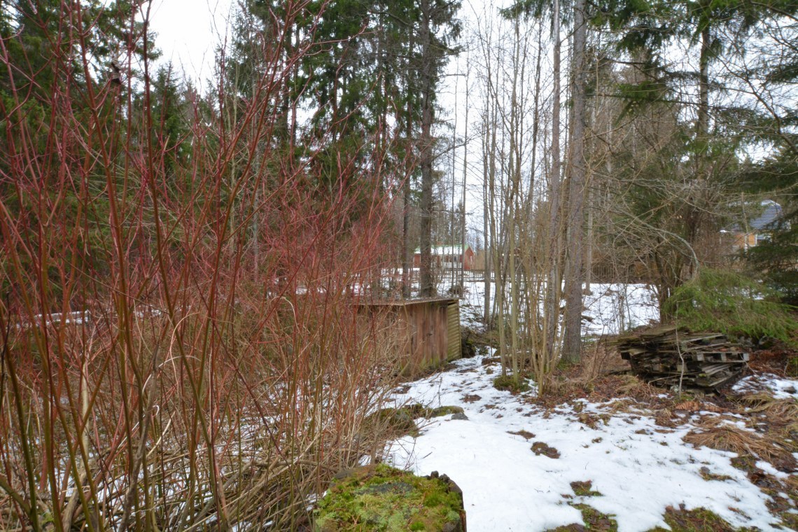 Dammvägen 3 – bild 5