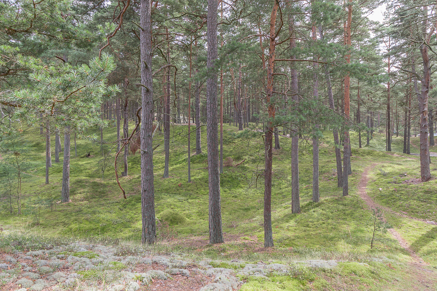Glansabovägen 17 – bild 3
