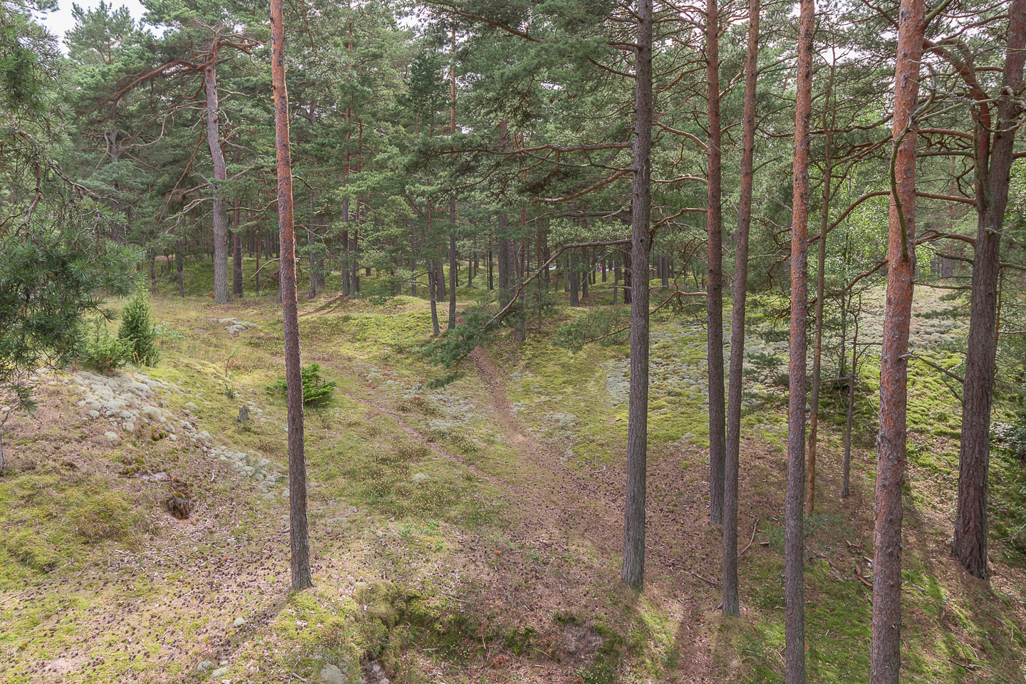 Glansabovägen 17 – bild 8