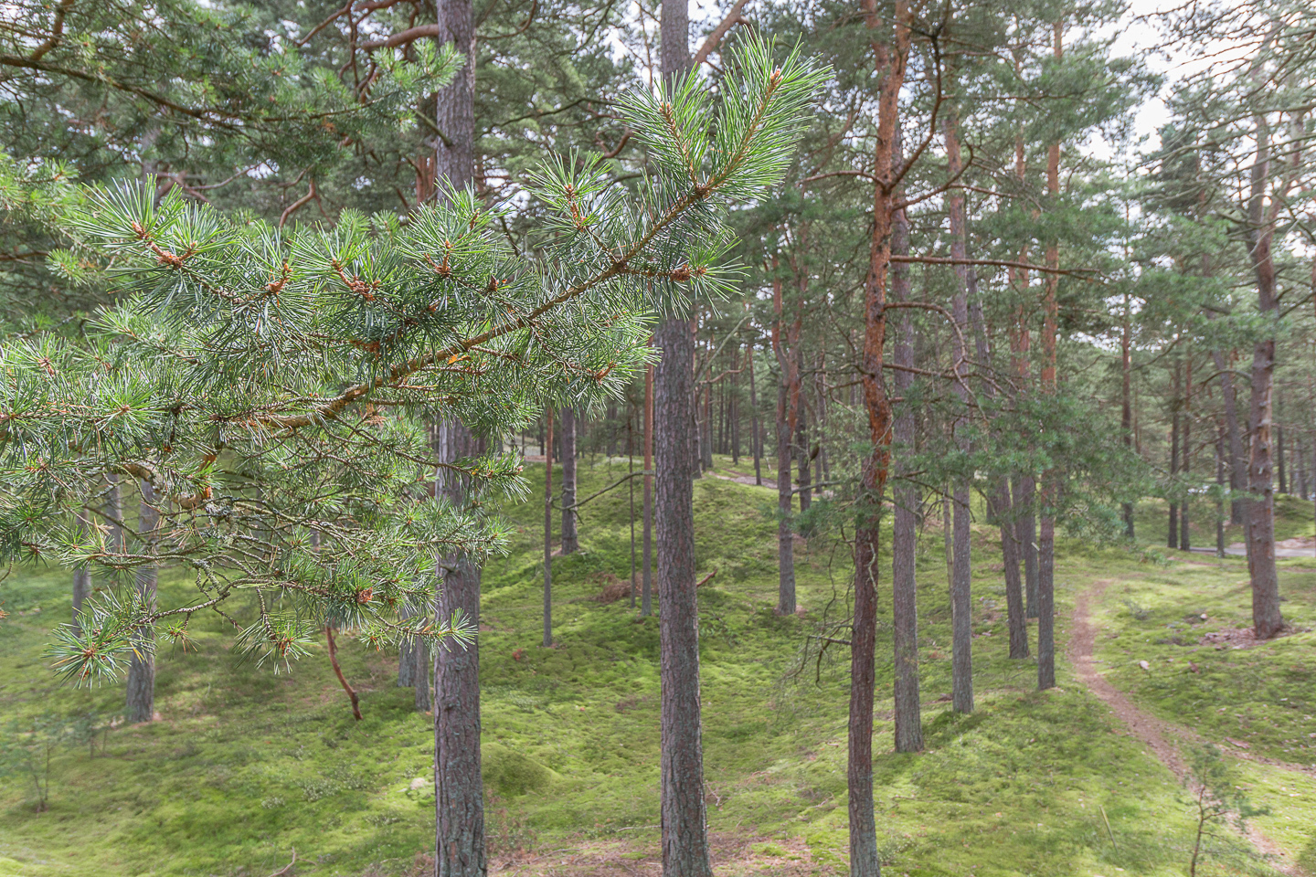 Glansabovägen 17 – bild 6