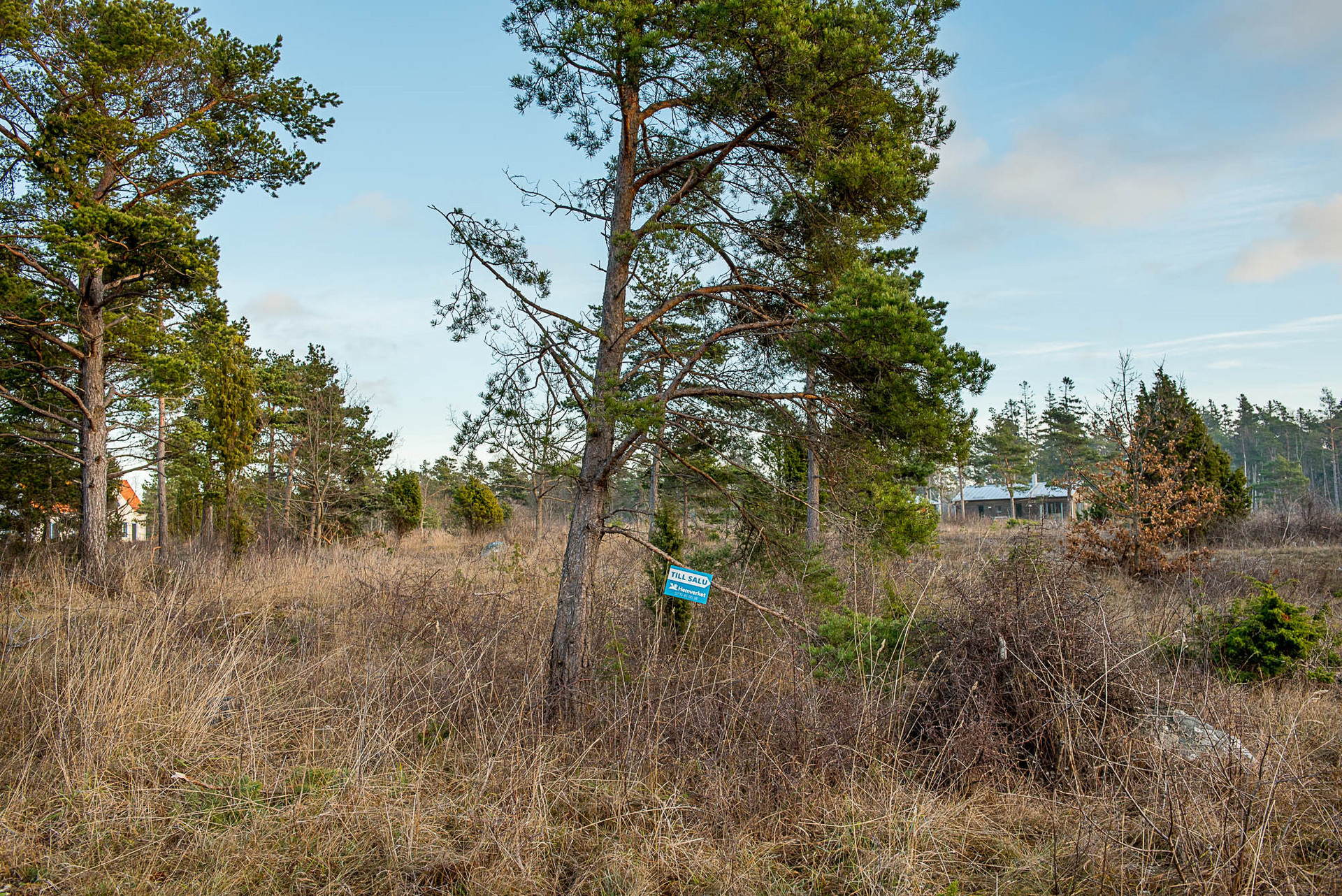 Bunge Sandviksvägen 47 – bild 6