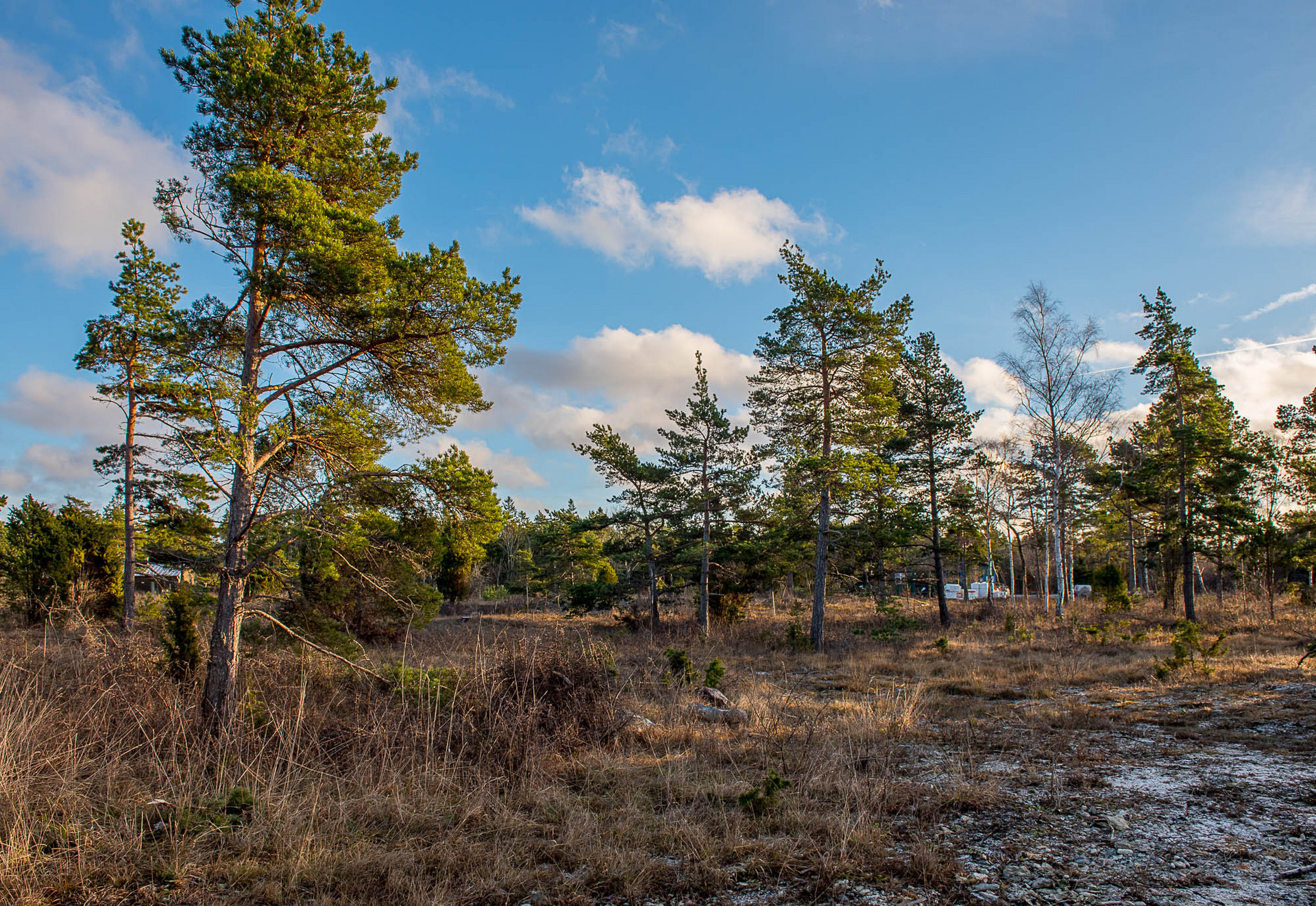 Bunge Sandviksvägen 47 – bild 5