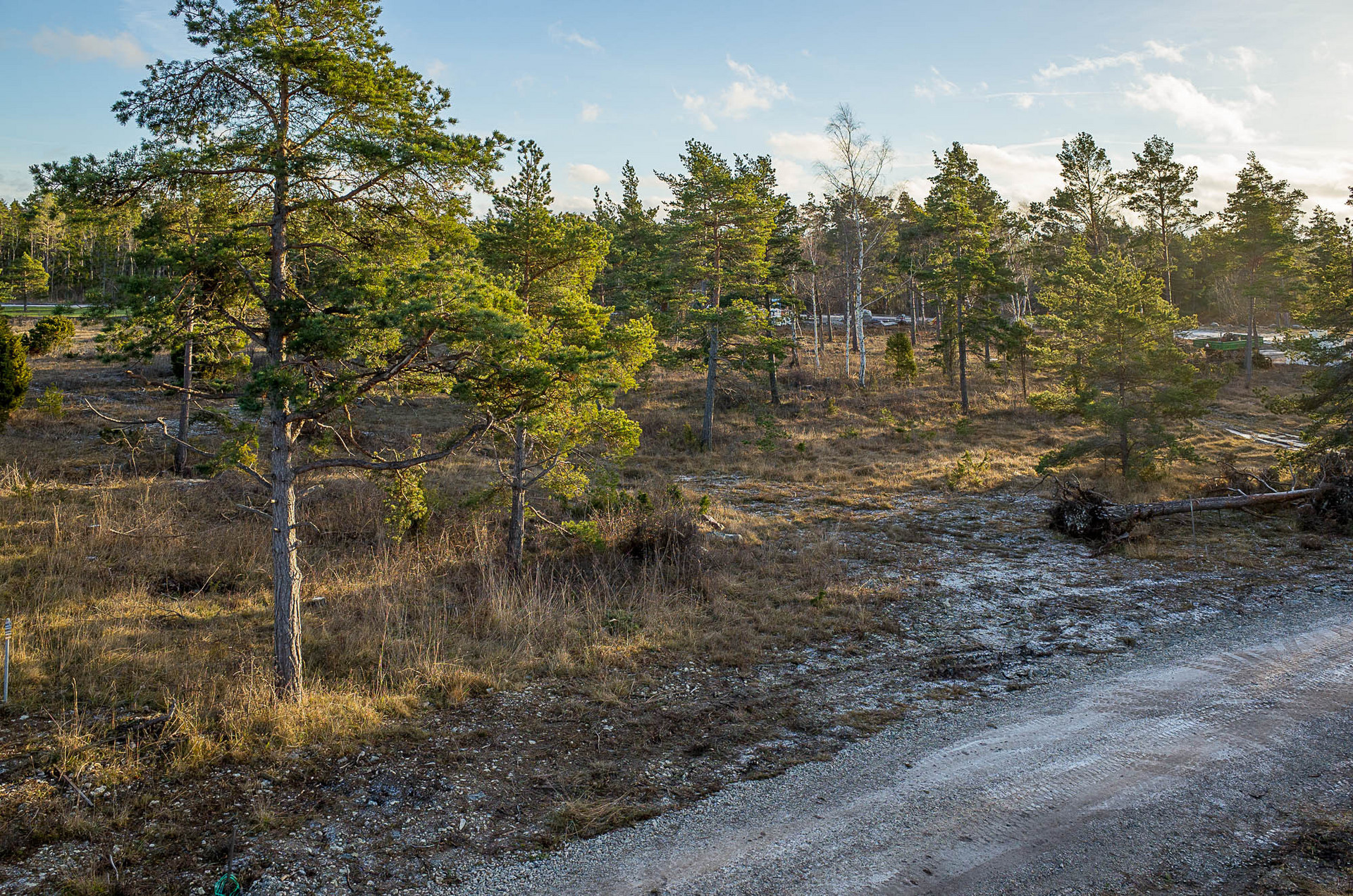 Bunge Sandviksvägen 47 – bild 7