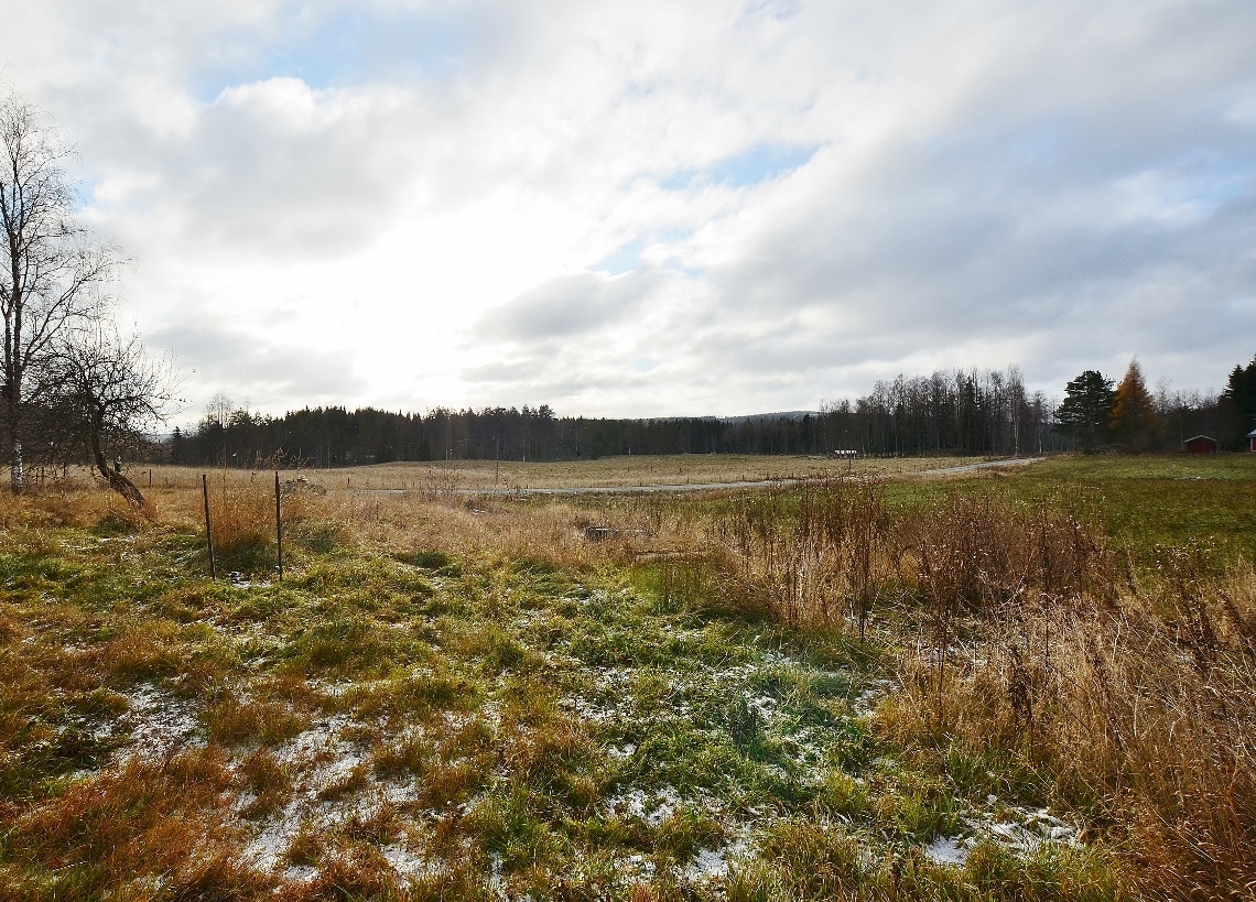 Hultatorp 302 – bild 8