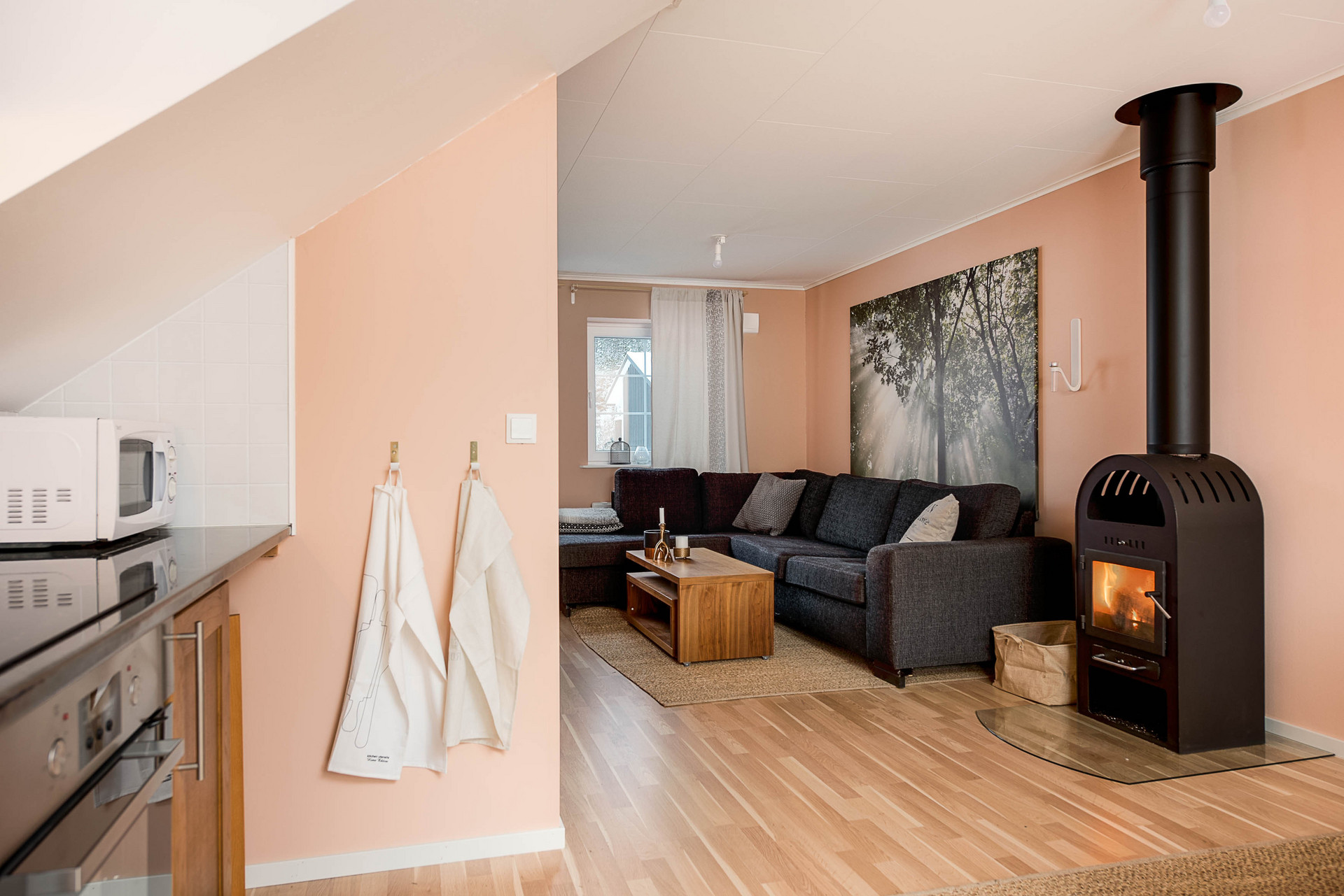 Vintergatan 55 – bild 5