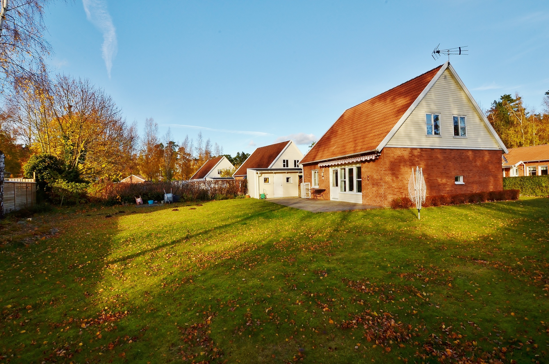 Rotundan 6 – bild 8