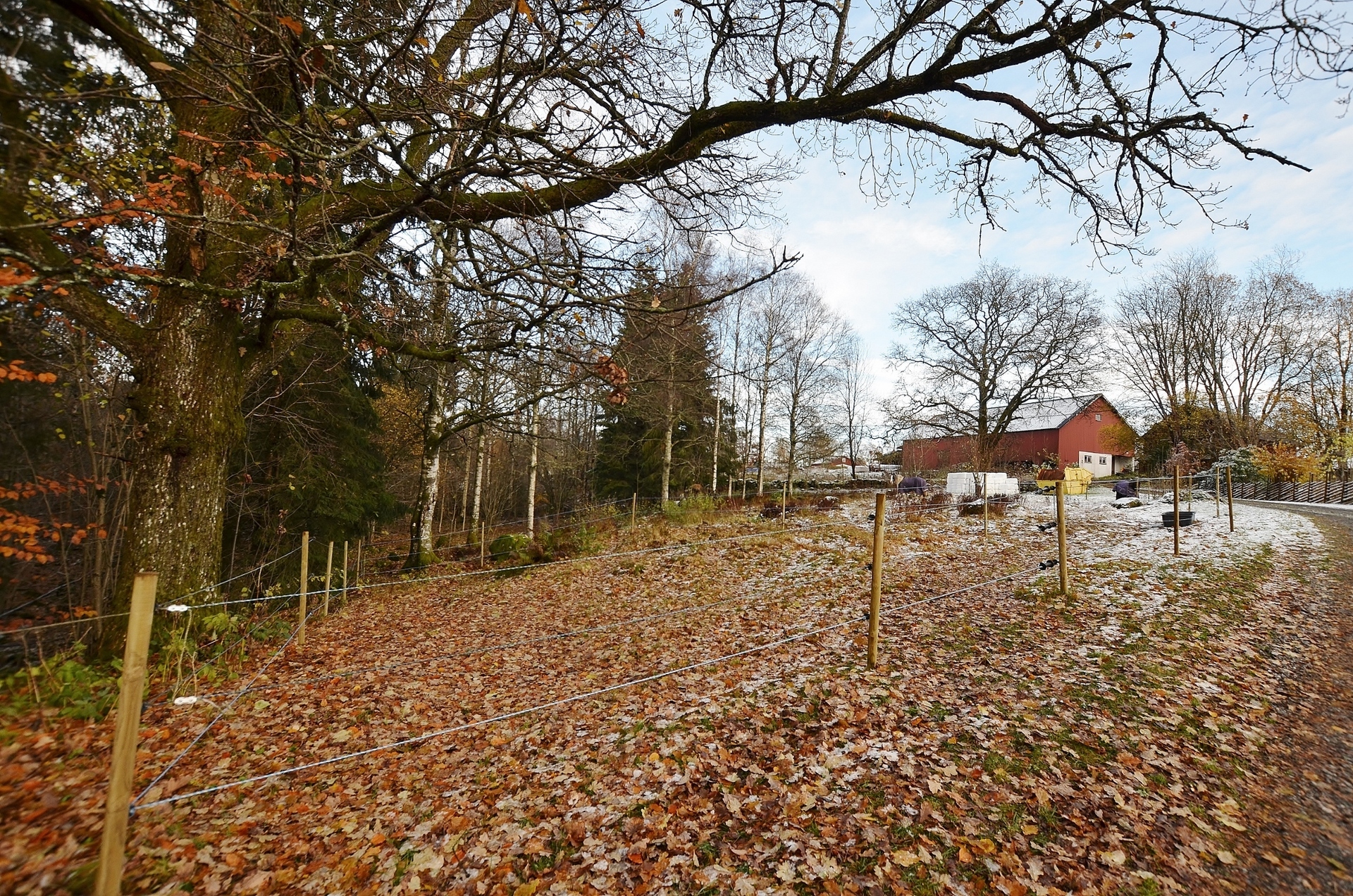 Ödenäs Mellomgården 463 – bild 3
